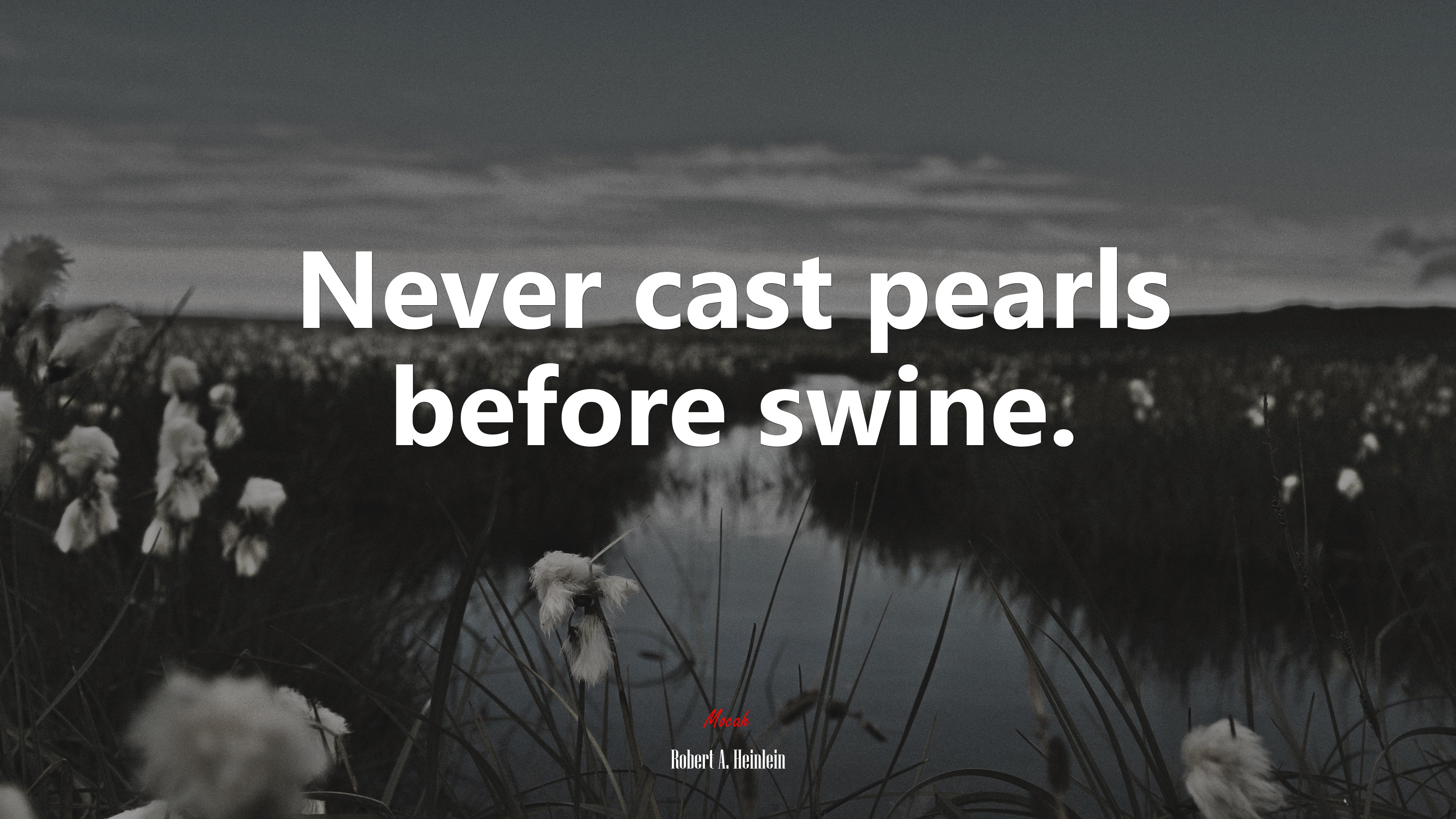 Never cast pearls before swine. | Robert A. Heinlein quote HD Wallpaper