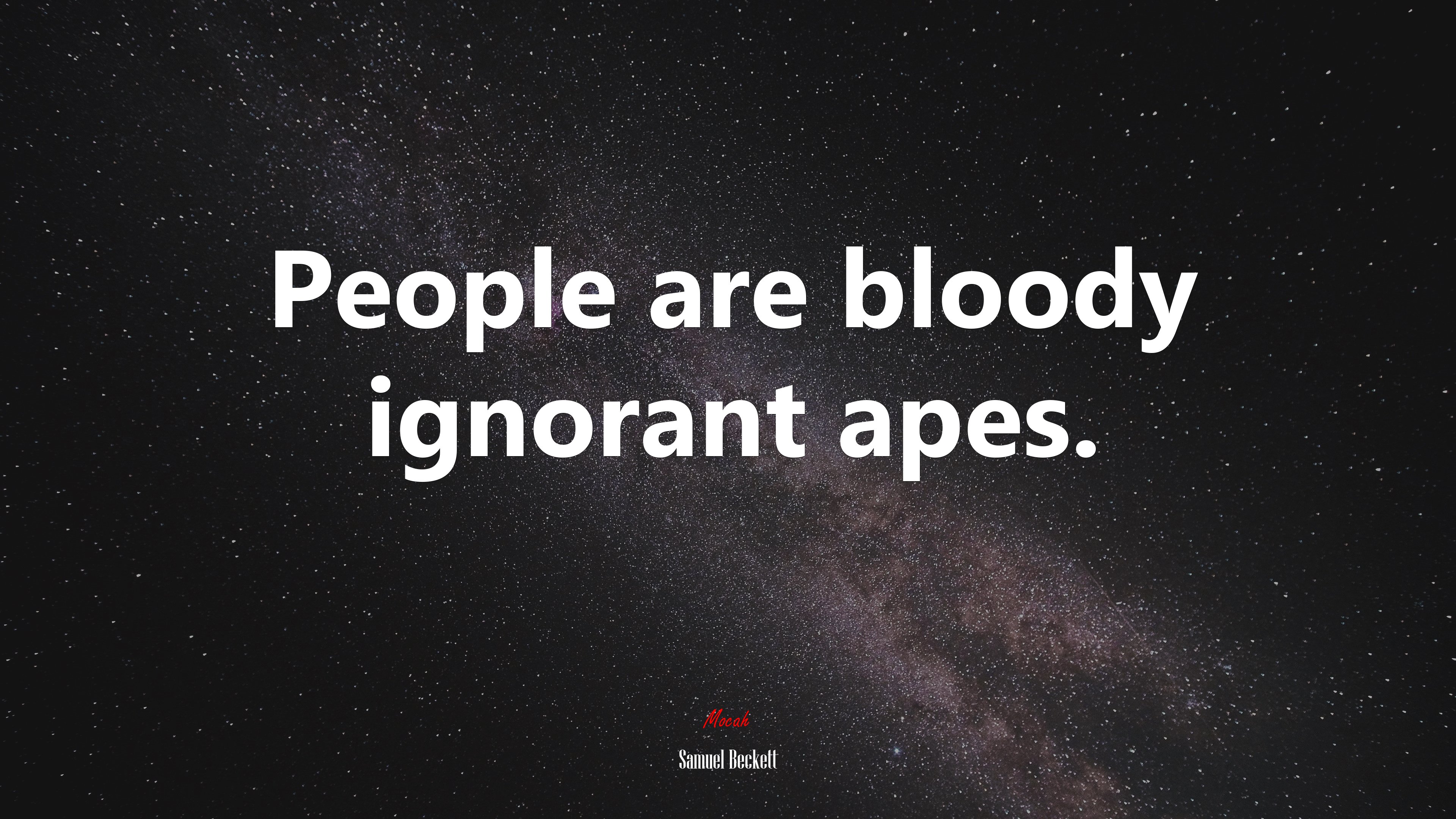 People are bloody ignorant apes. | Samuel Beckett quote HD Wallpaper