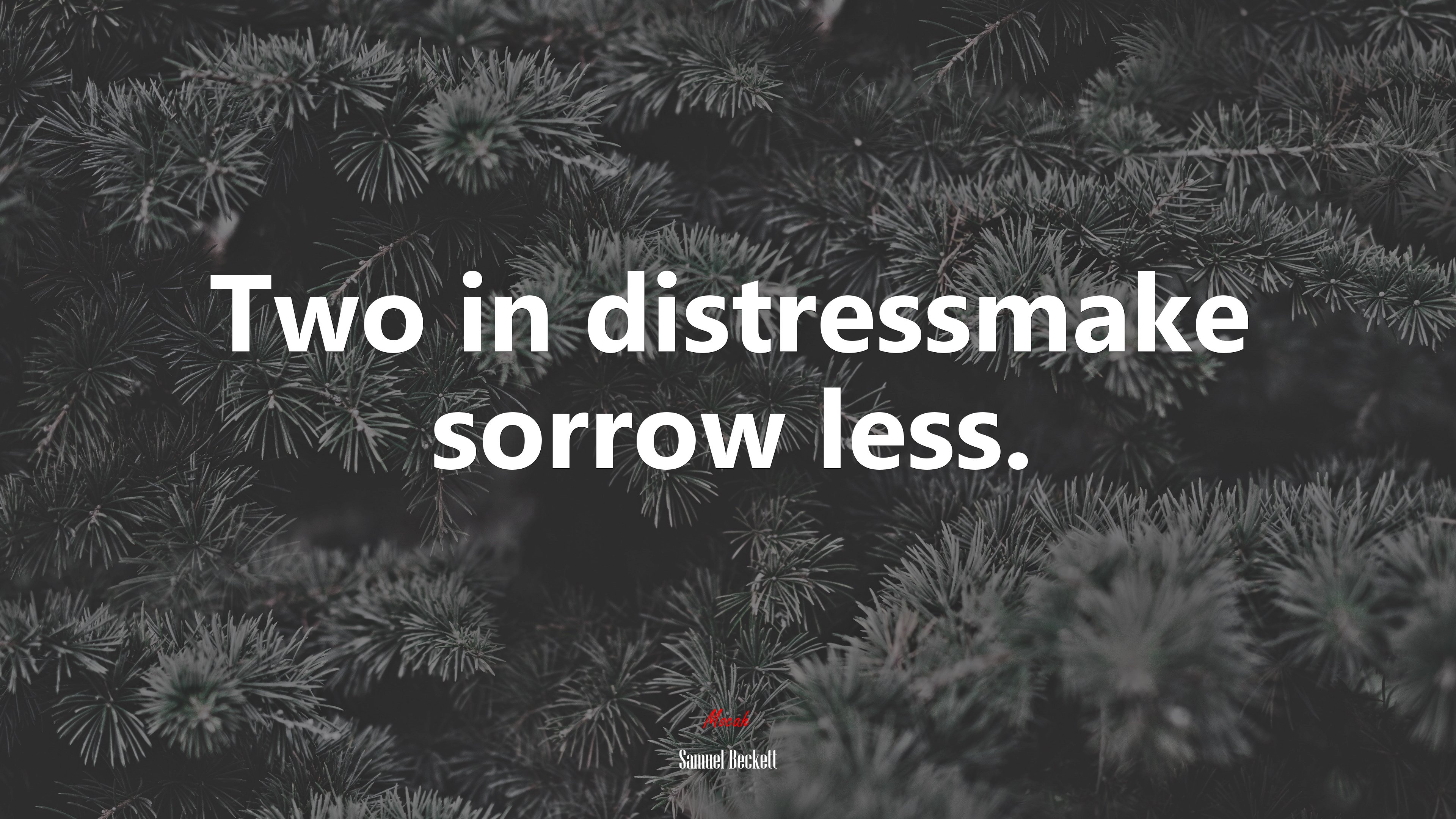 Two in distressmake sorrow less. | Samuel Beckett quote HD Wallpaper