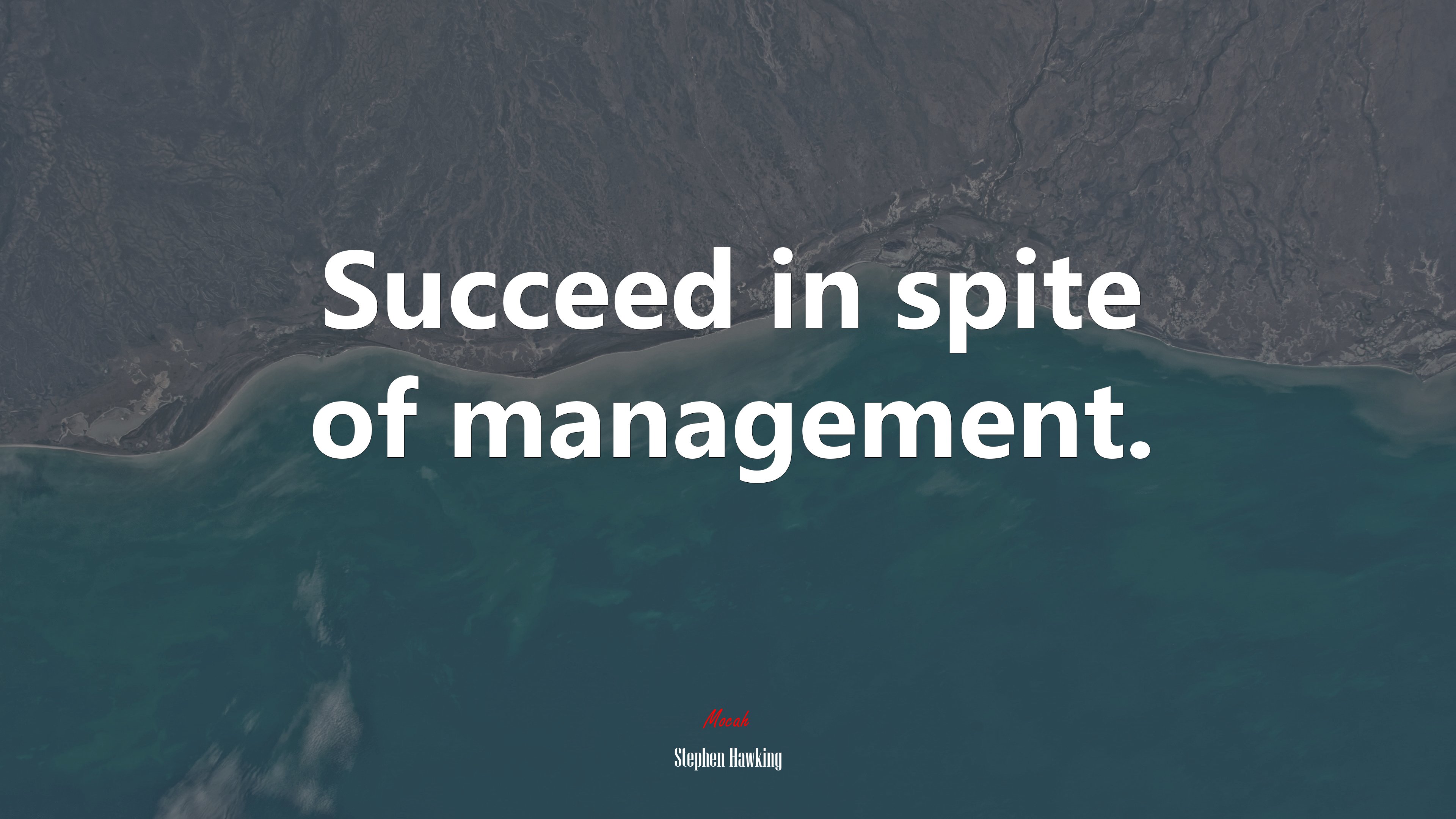 Succeed in spite of management. | Stephen Hawking quote HD Wallpaper