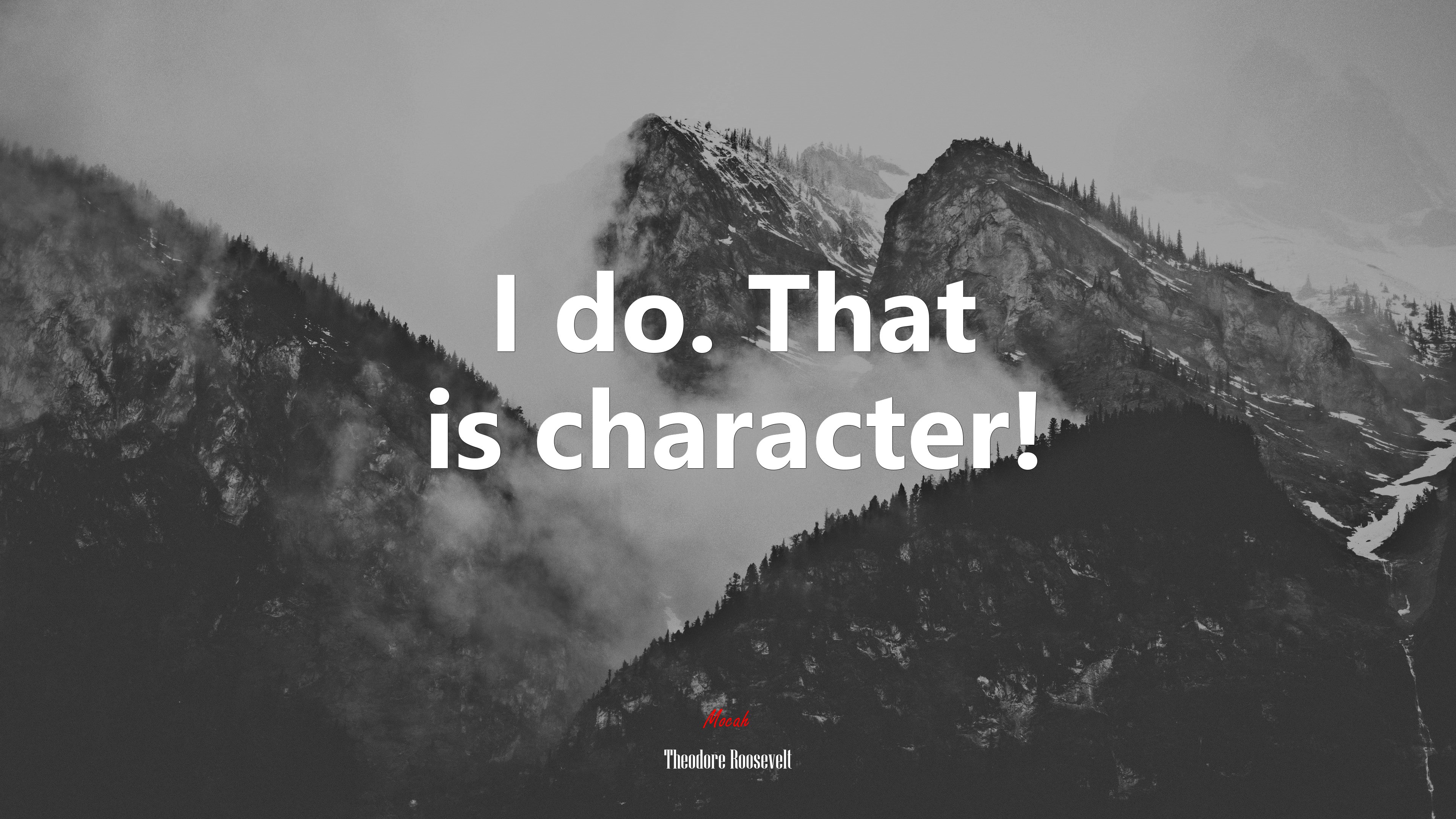 I do. That is character! | Theodore Roosevelt quote HD Wallpaper