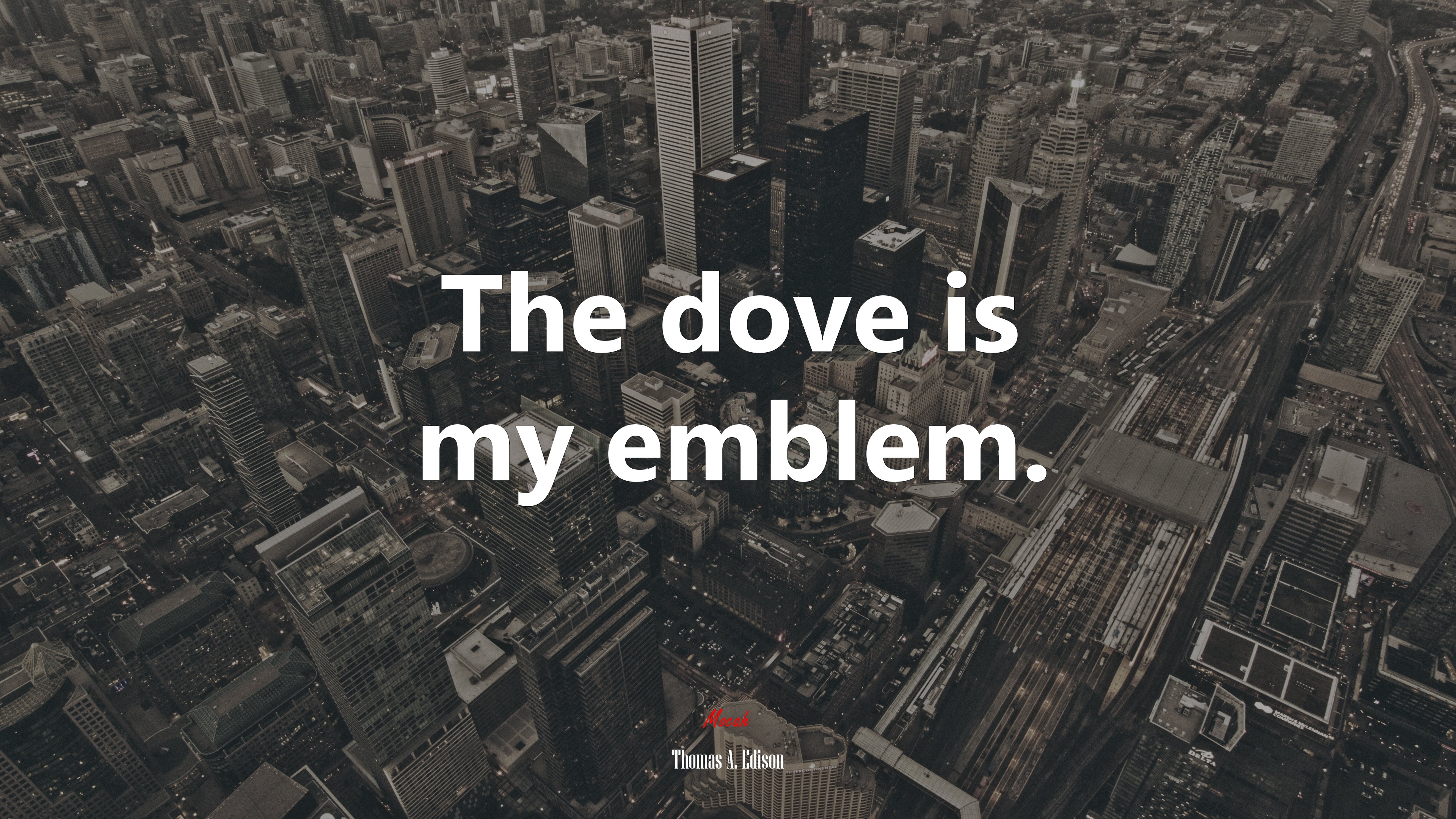 The dove is my emblem. | Thomas A. Edison quote HD Wallpaper