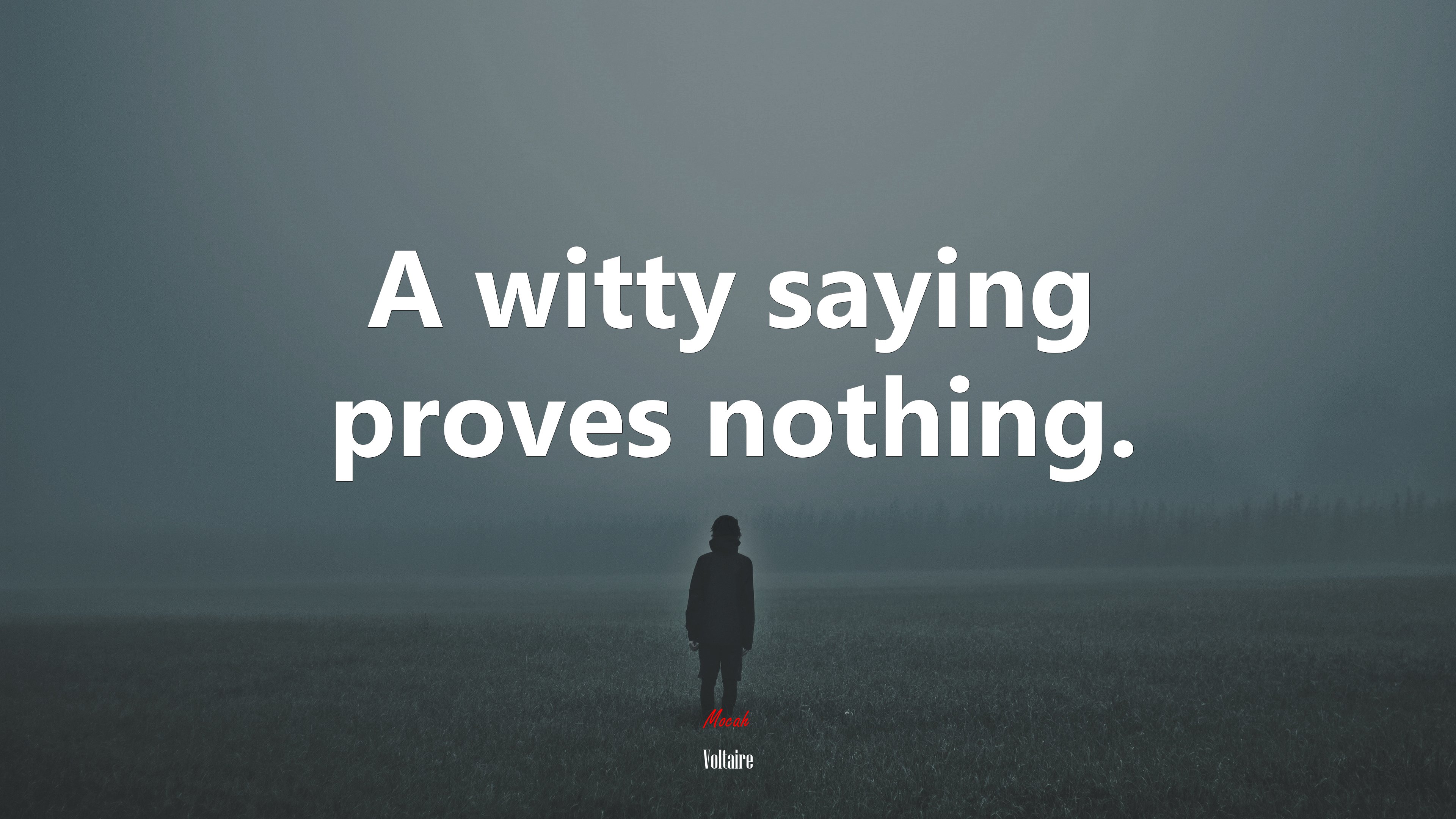 A witty saying proves nothing. | Voltaire quote HD Wallpaper