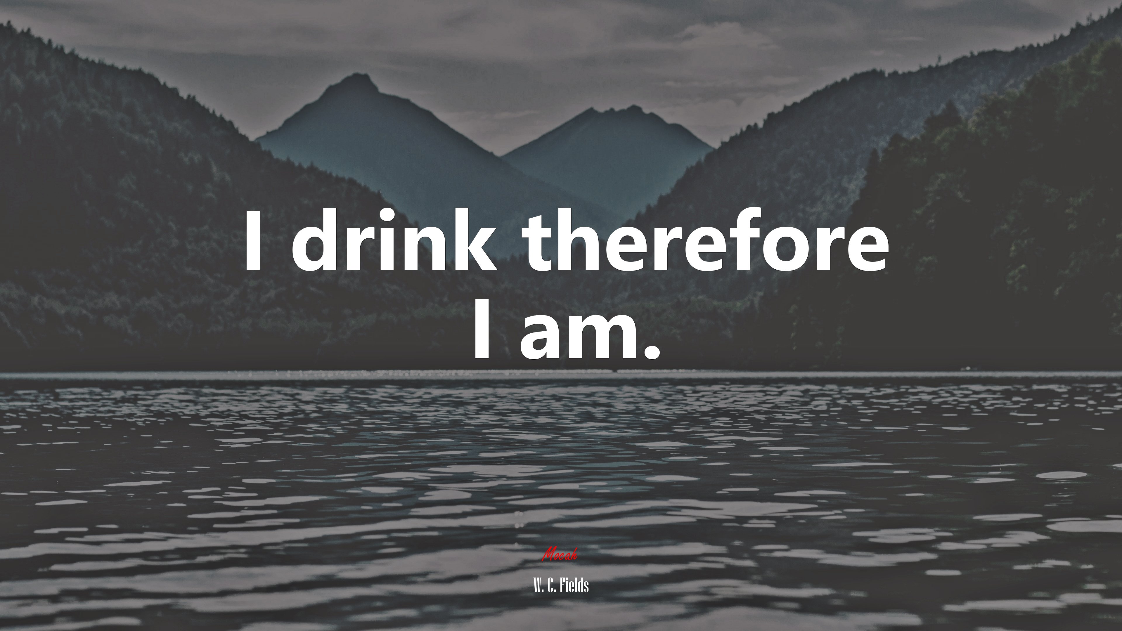 I drink therefore I am. | W. C. Fields quote HD Wallpaper