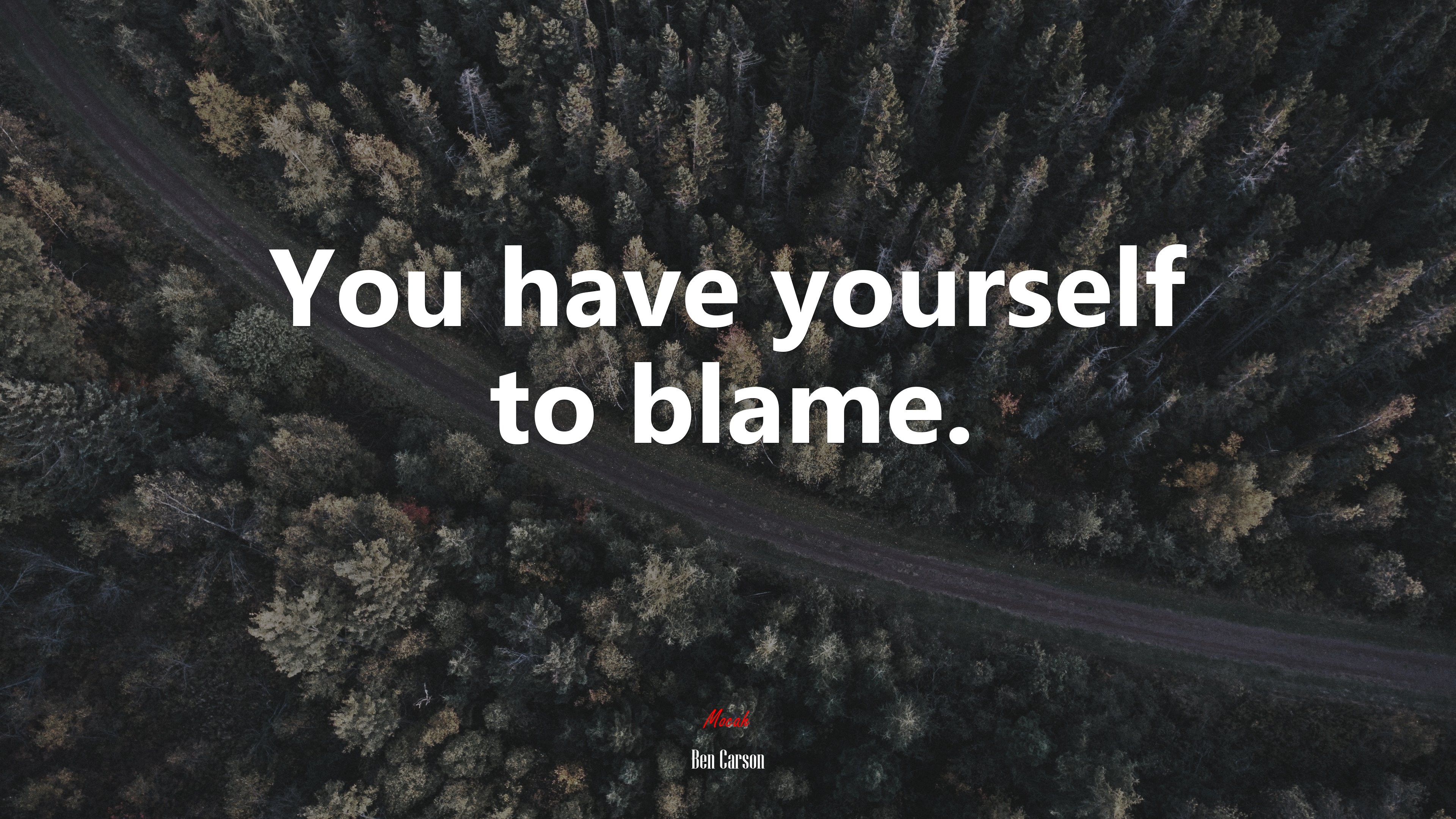 You have yourself to blame. | Ben Carson quote HD Wallpaper