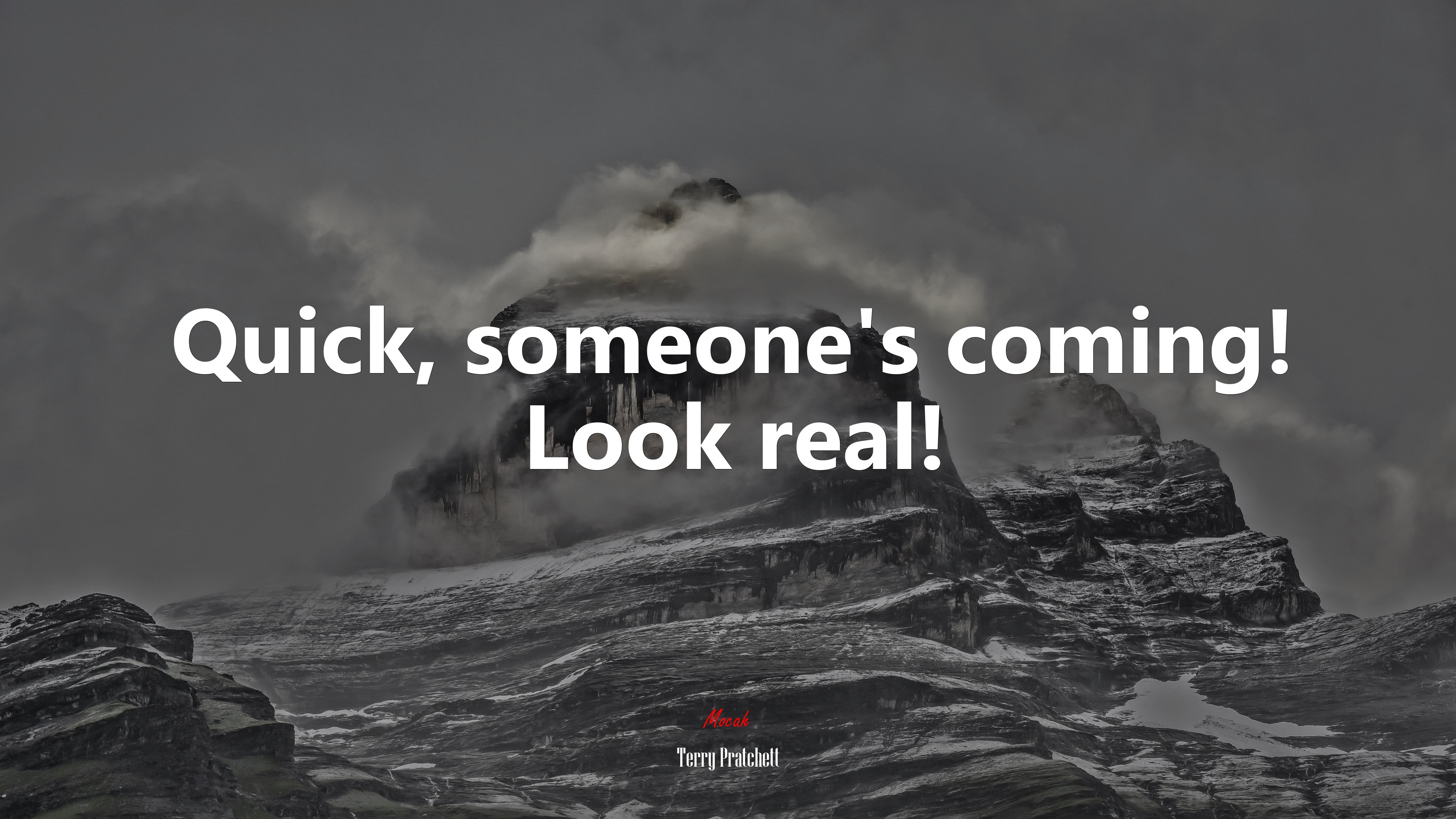 Quick, someone’s coming! Look real! | Terry Pratchett quote HD Wallpaper