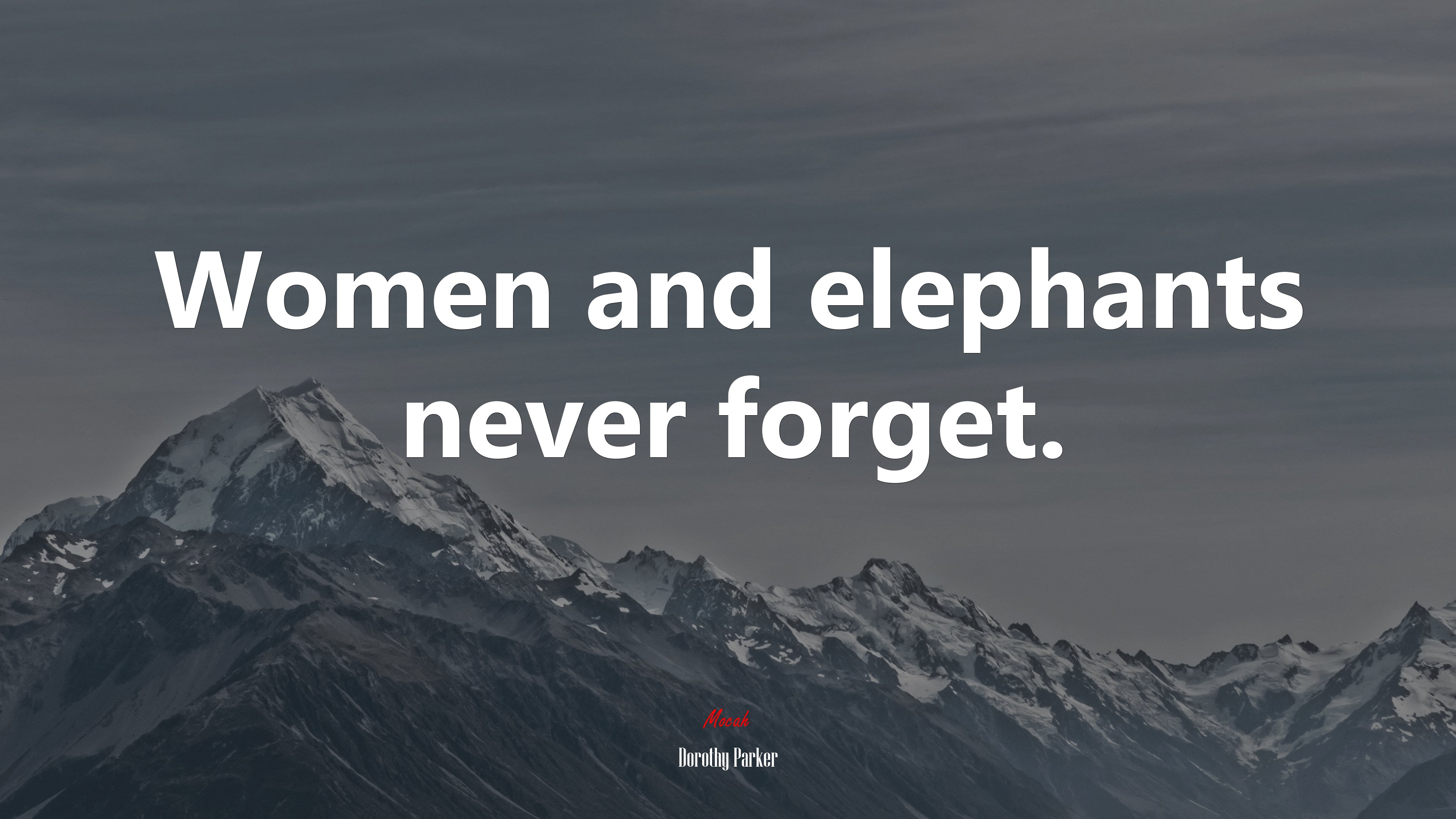 Women and elephants never forget. | Dorothy Parker quote HD Wallpaper