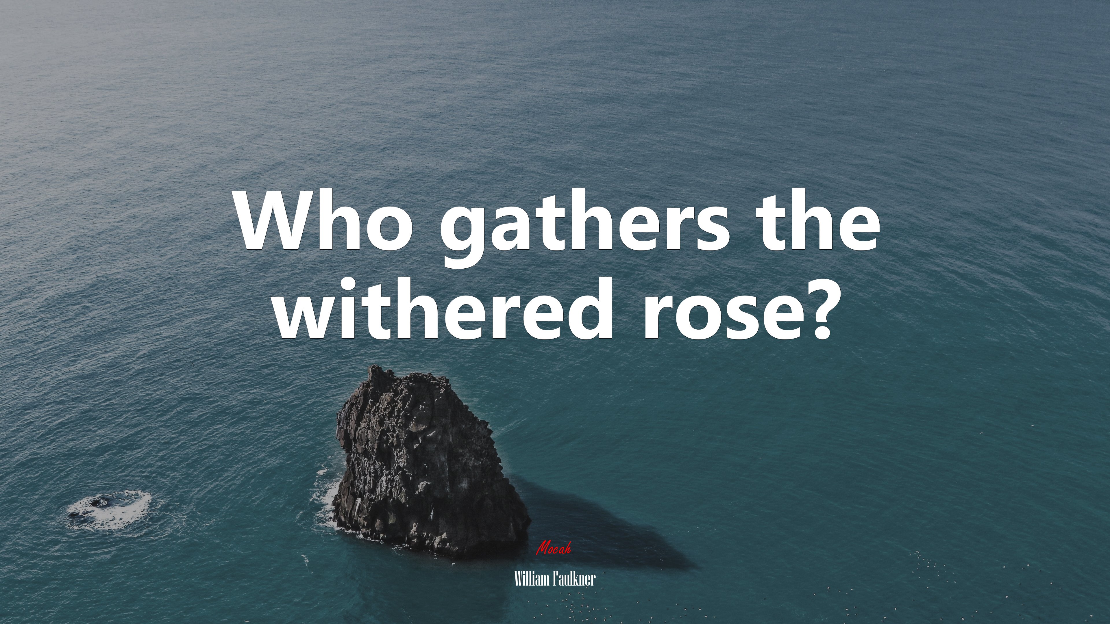 Who gathers the withered rose? | William Faulkner quote HD Wallpaper