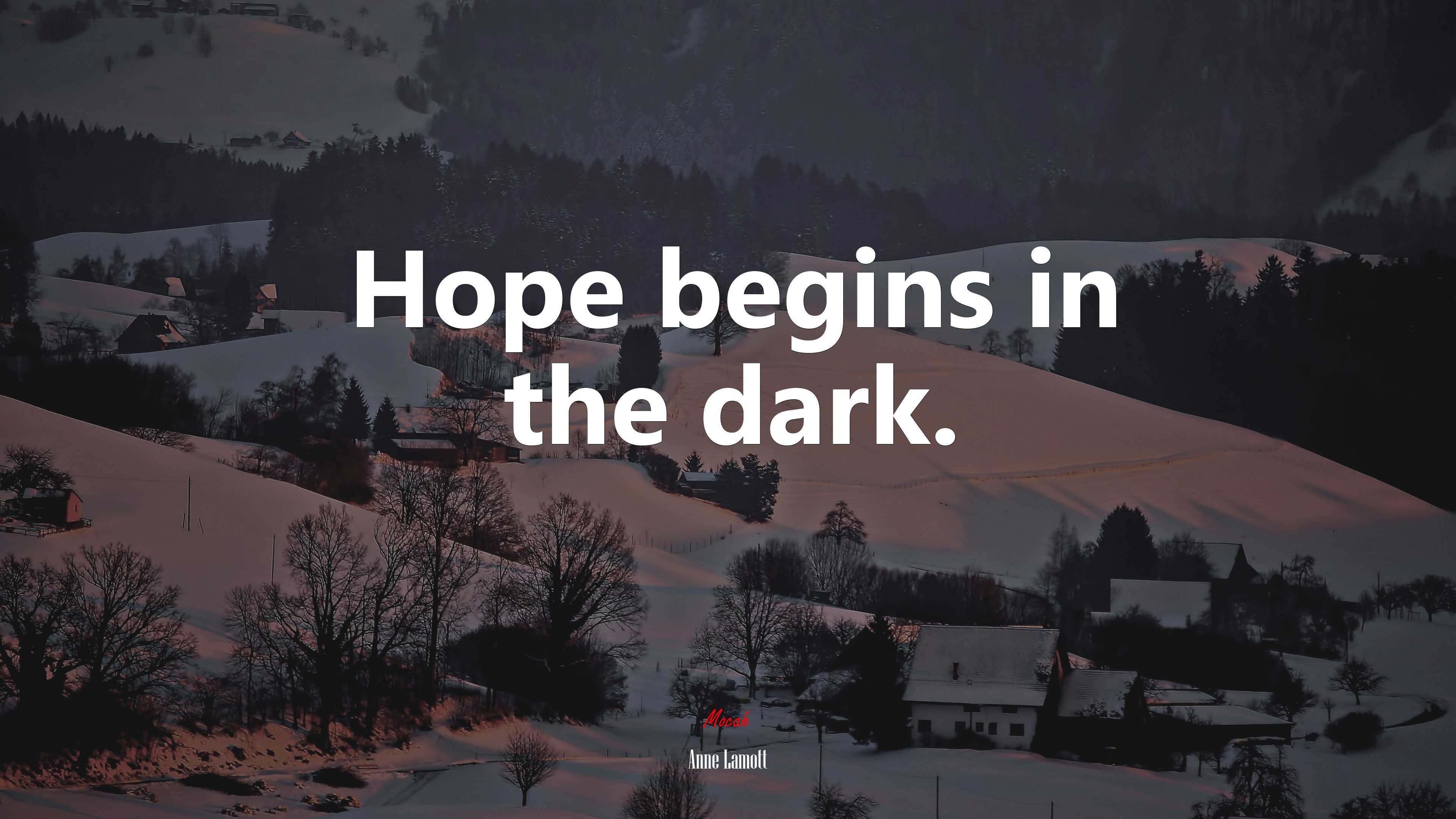 Hope begins in the dark. | Anne Lamott quote HD Wallpaper