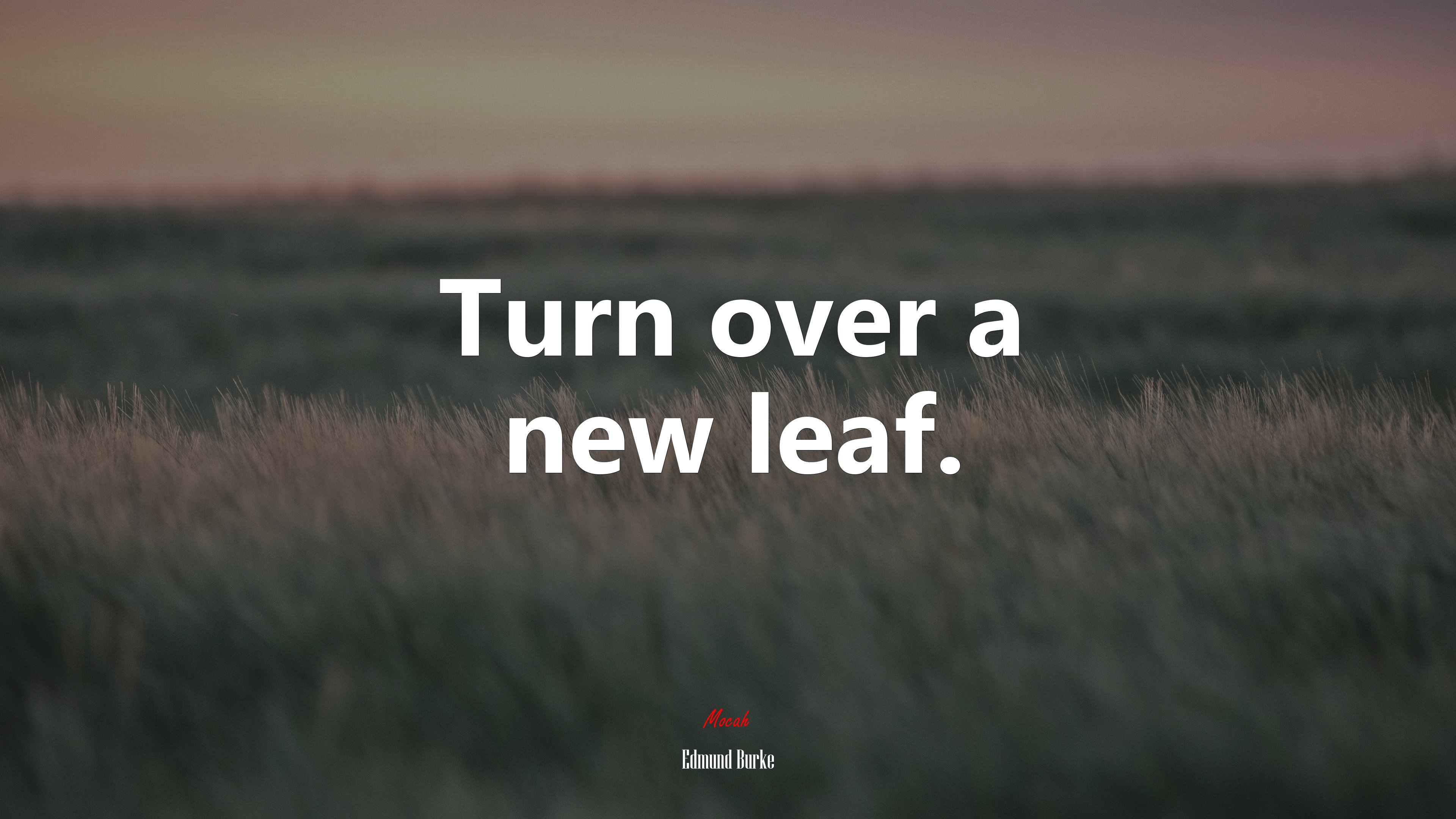 Turn over a new leaf. | Edmund Burke quote HD Wallpaper