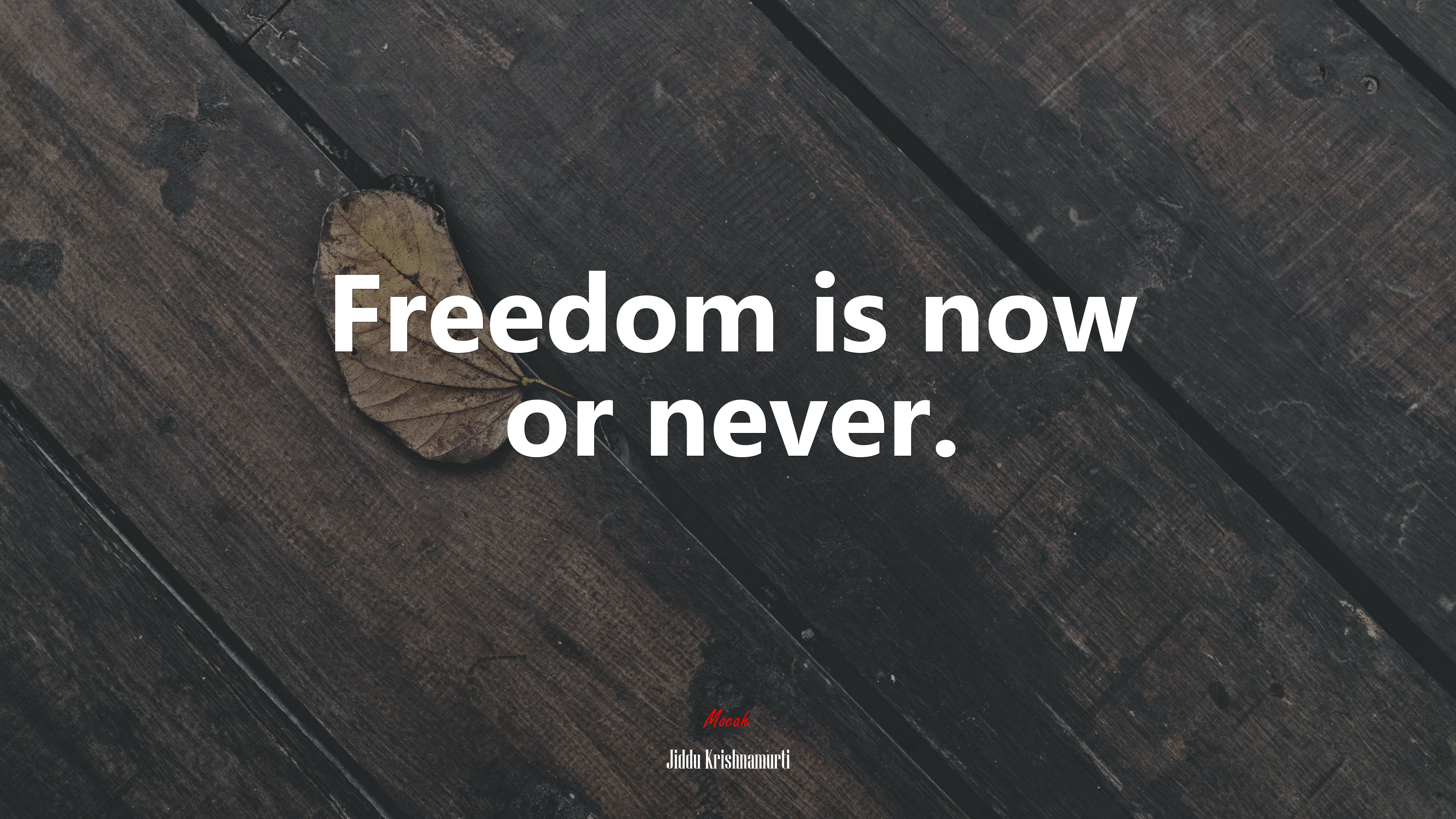 Freedom is now or never. | Jiddu Krishnamurti quote HD Wallpaper