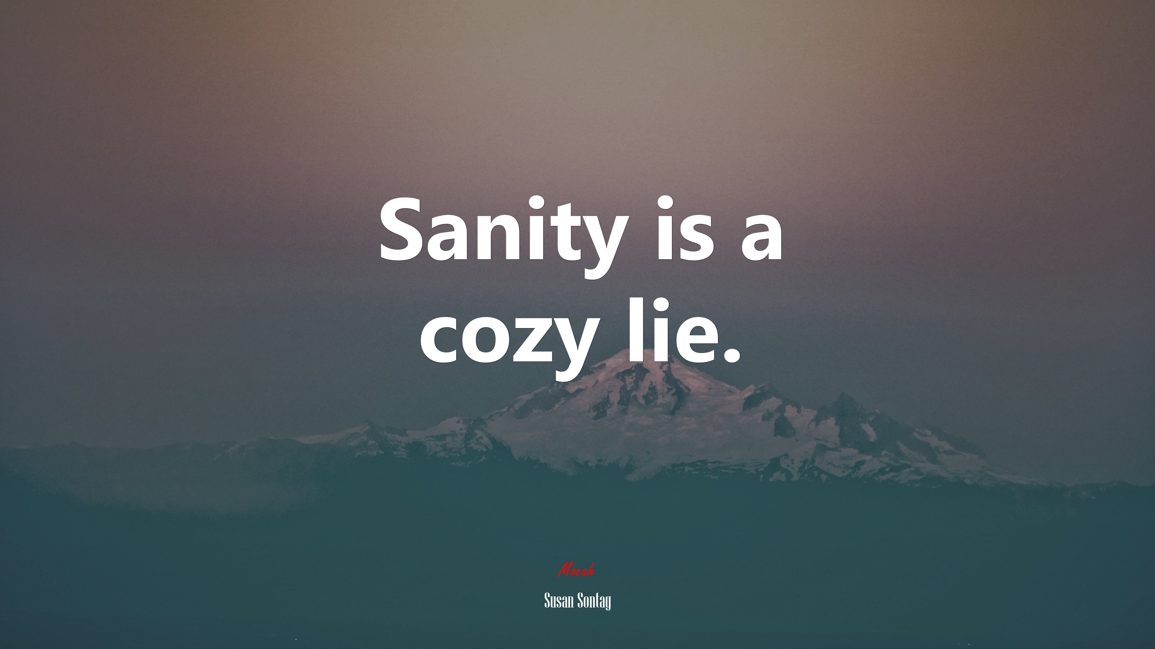 Sanity is a cozy lie. | Susan Sontag quote HD Wallpaper
