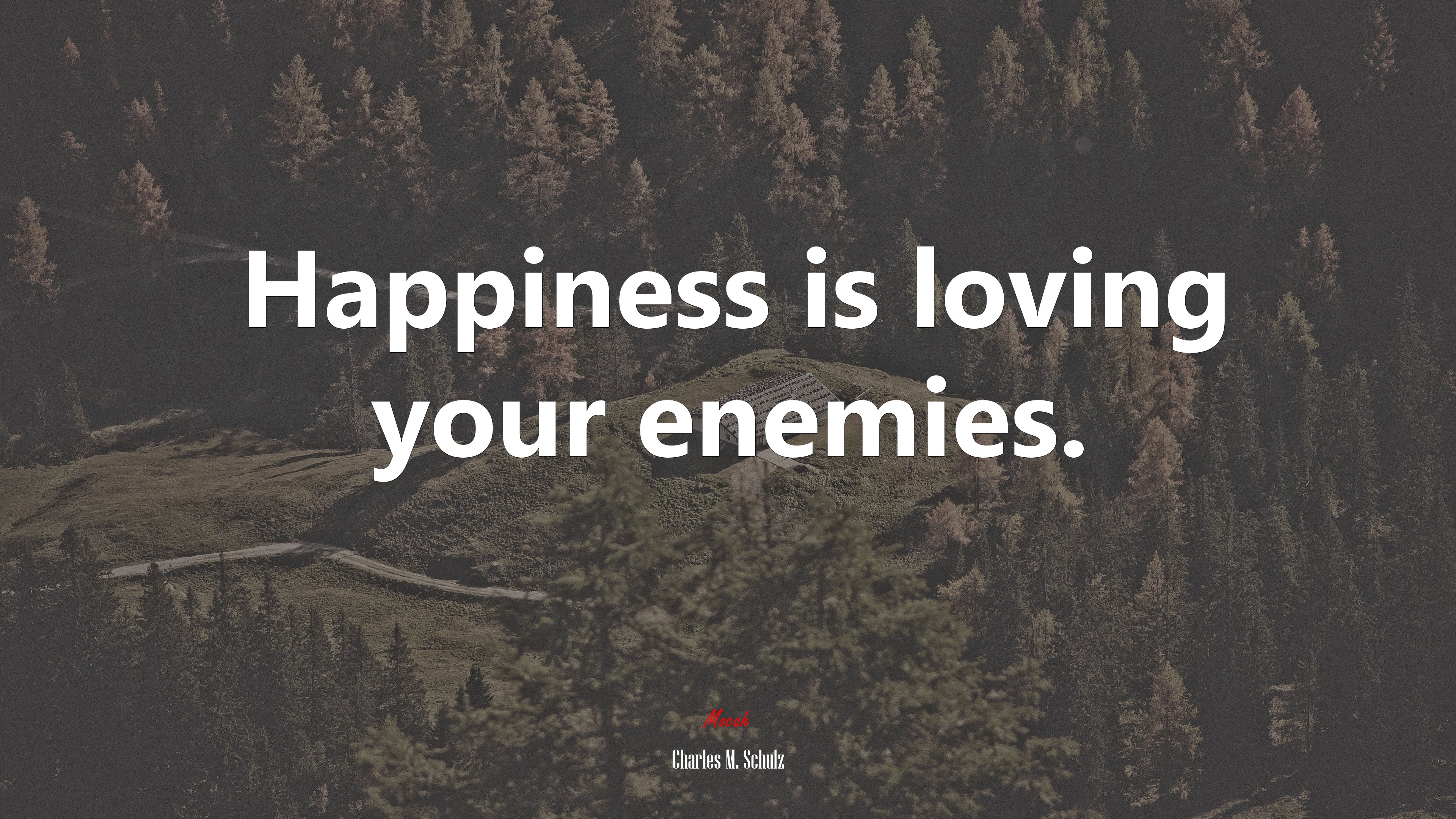Happiness is loving your enemies. | Charles M. Schulz quote HD Wallpaper