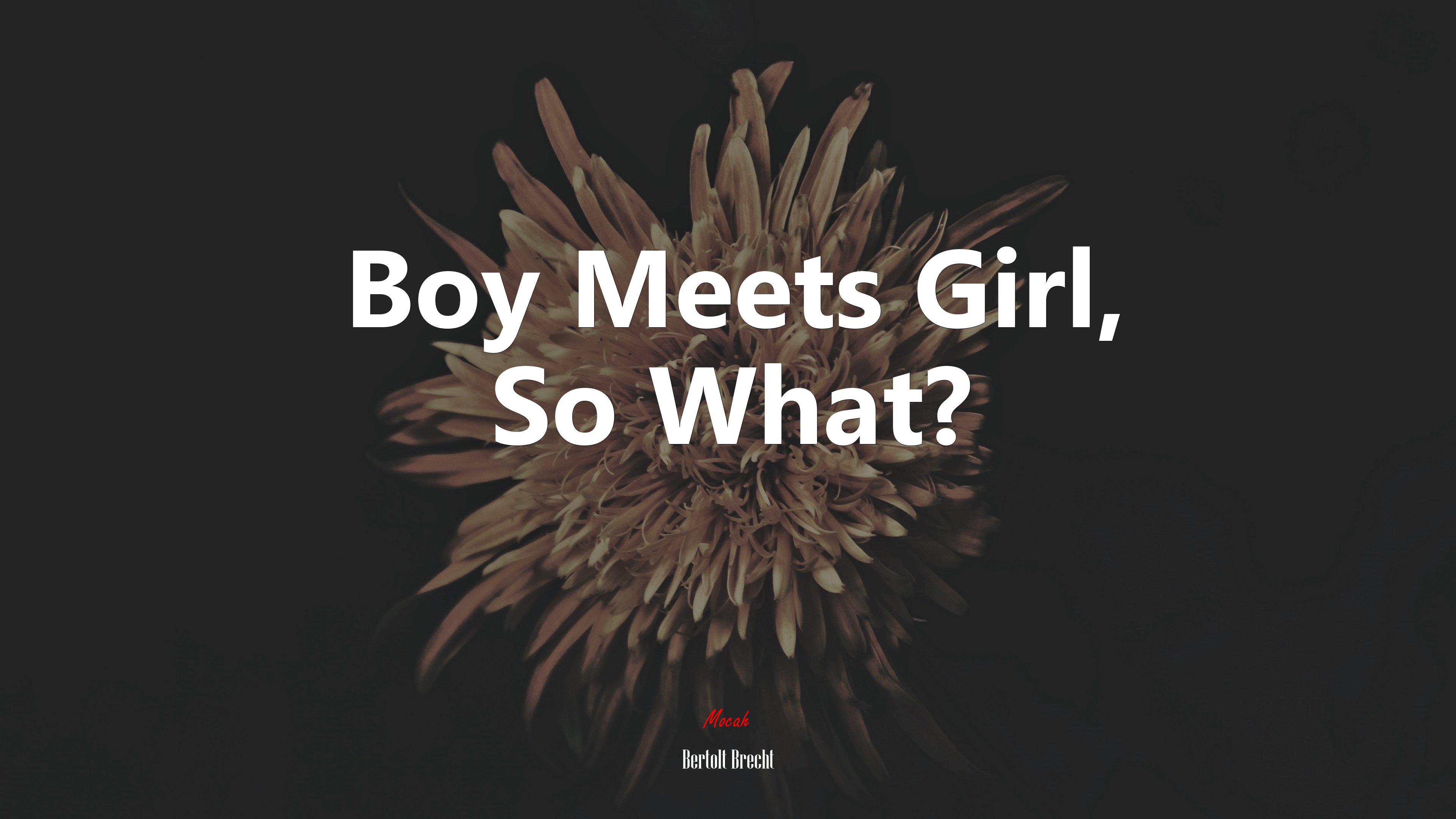 Boy Meets Girl, So What? | Bertolt Brecht quote HD Wallpaper