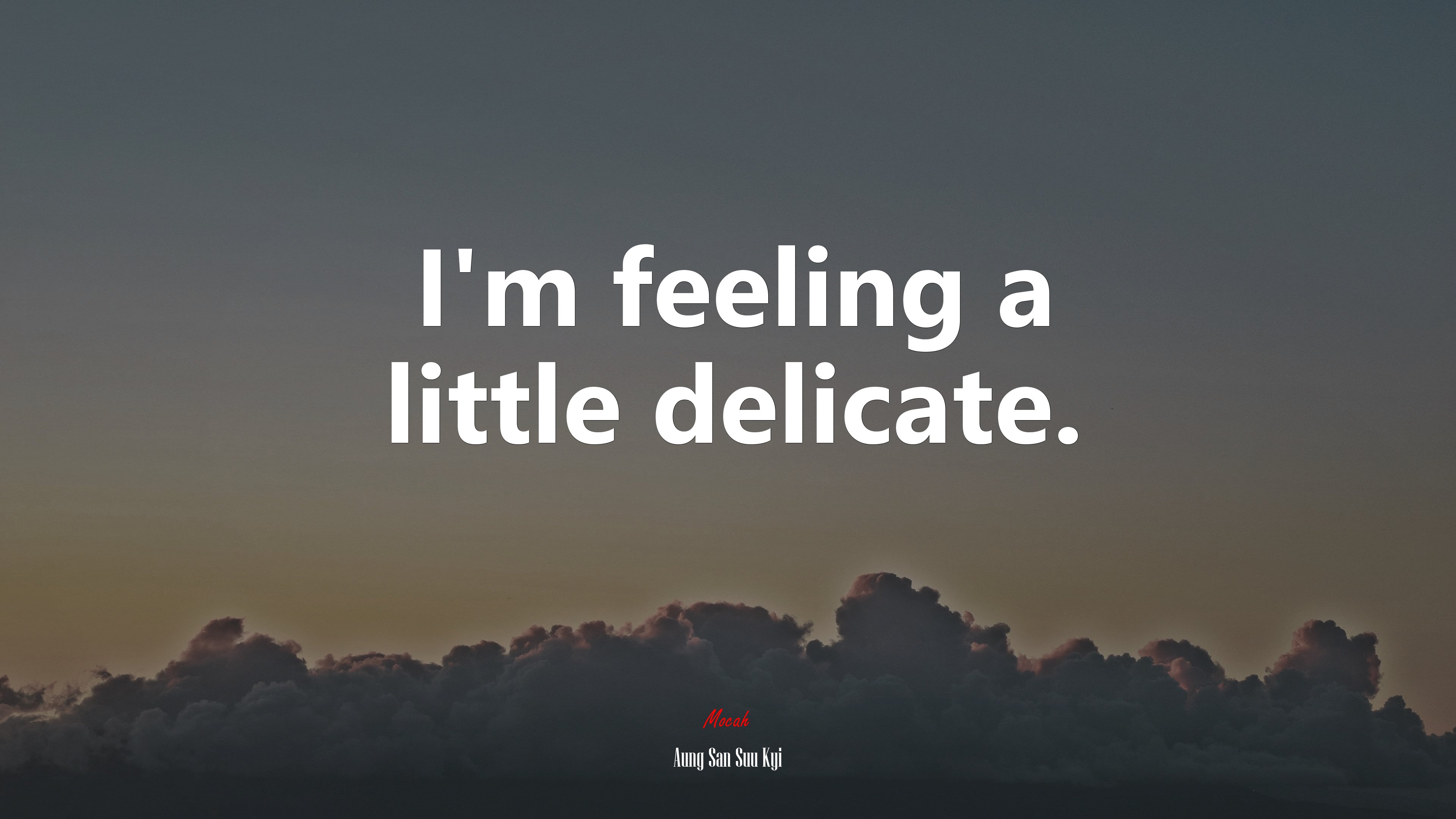 I’m feeling a little delicate. | Aung San Suu Kyi quote HD Wallpaper
