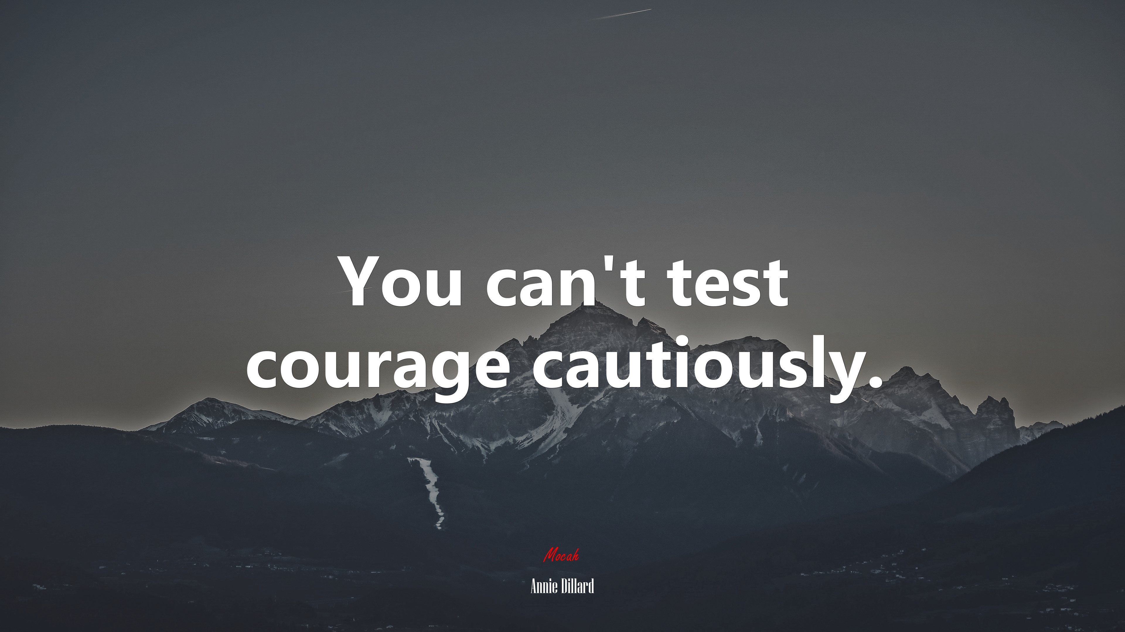 You can’t test courage cautiously. | Annie Dillard quote HD Wallpaper