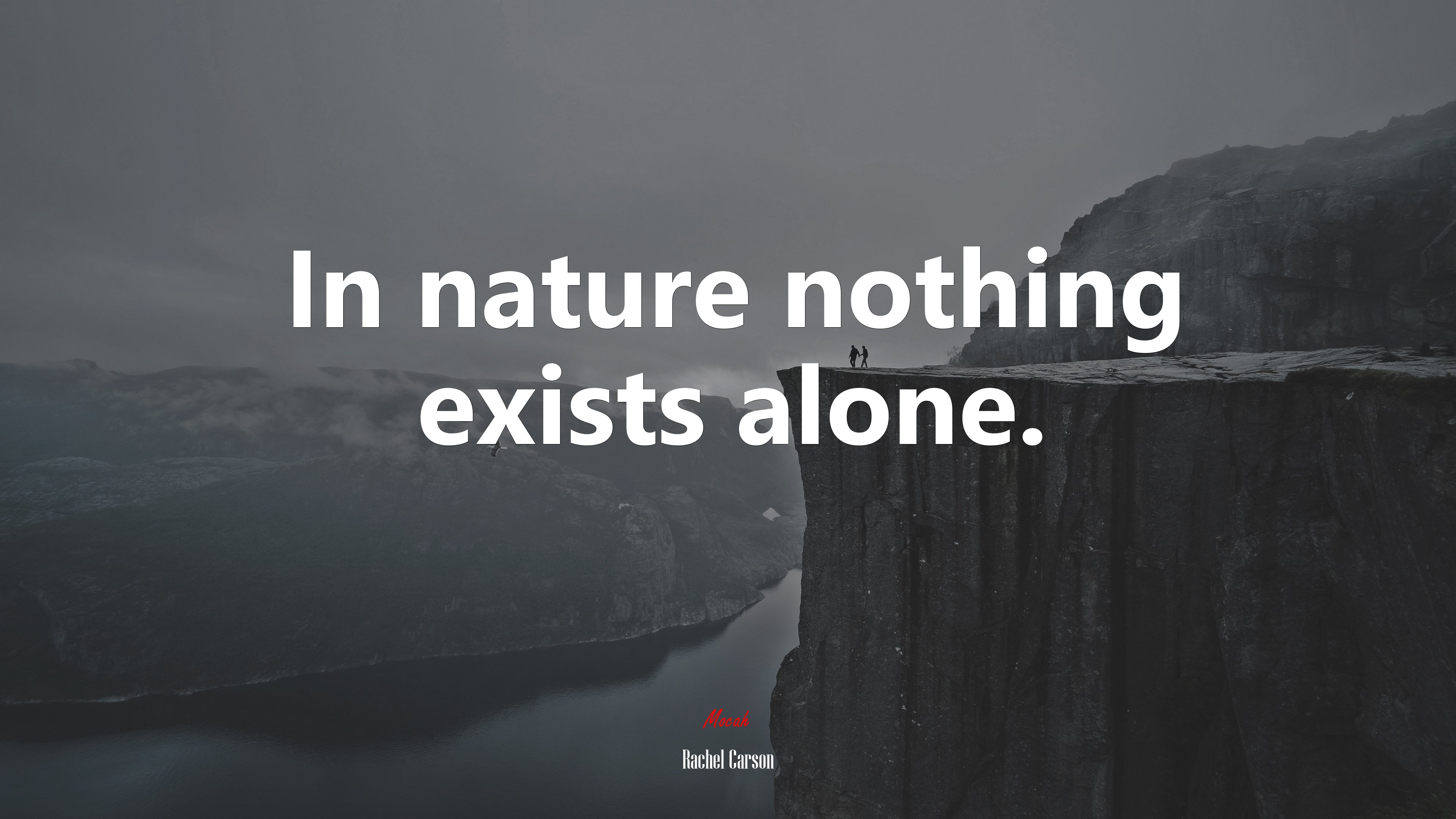 In nature nothing exists alone. | Rachel Carson quote HD Wallpaper
