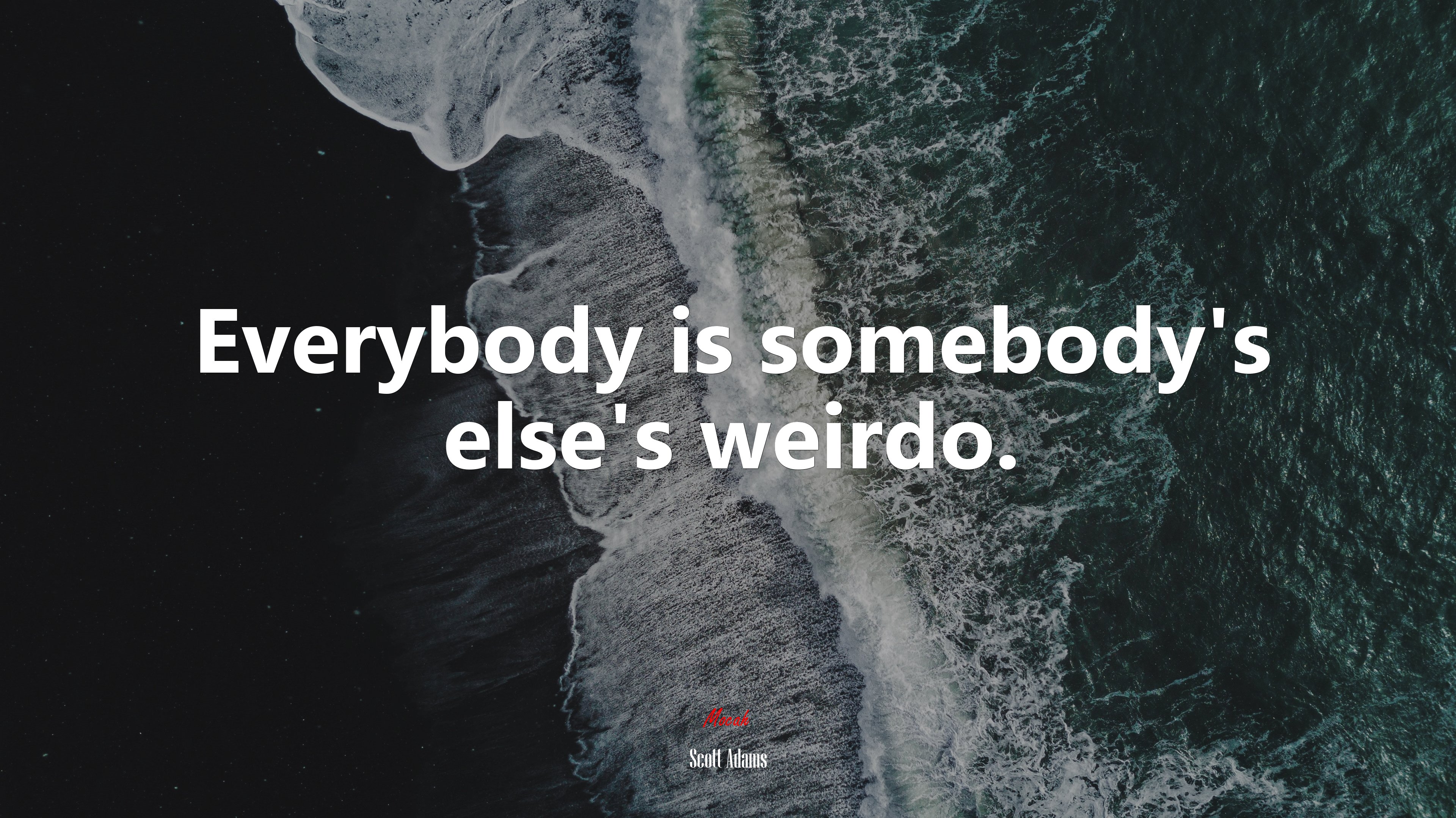 Everybody is somebody’s else’s weirdo. | Scott Adams quote HD Wallpaper