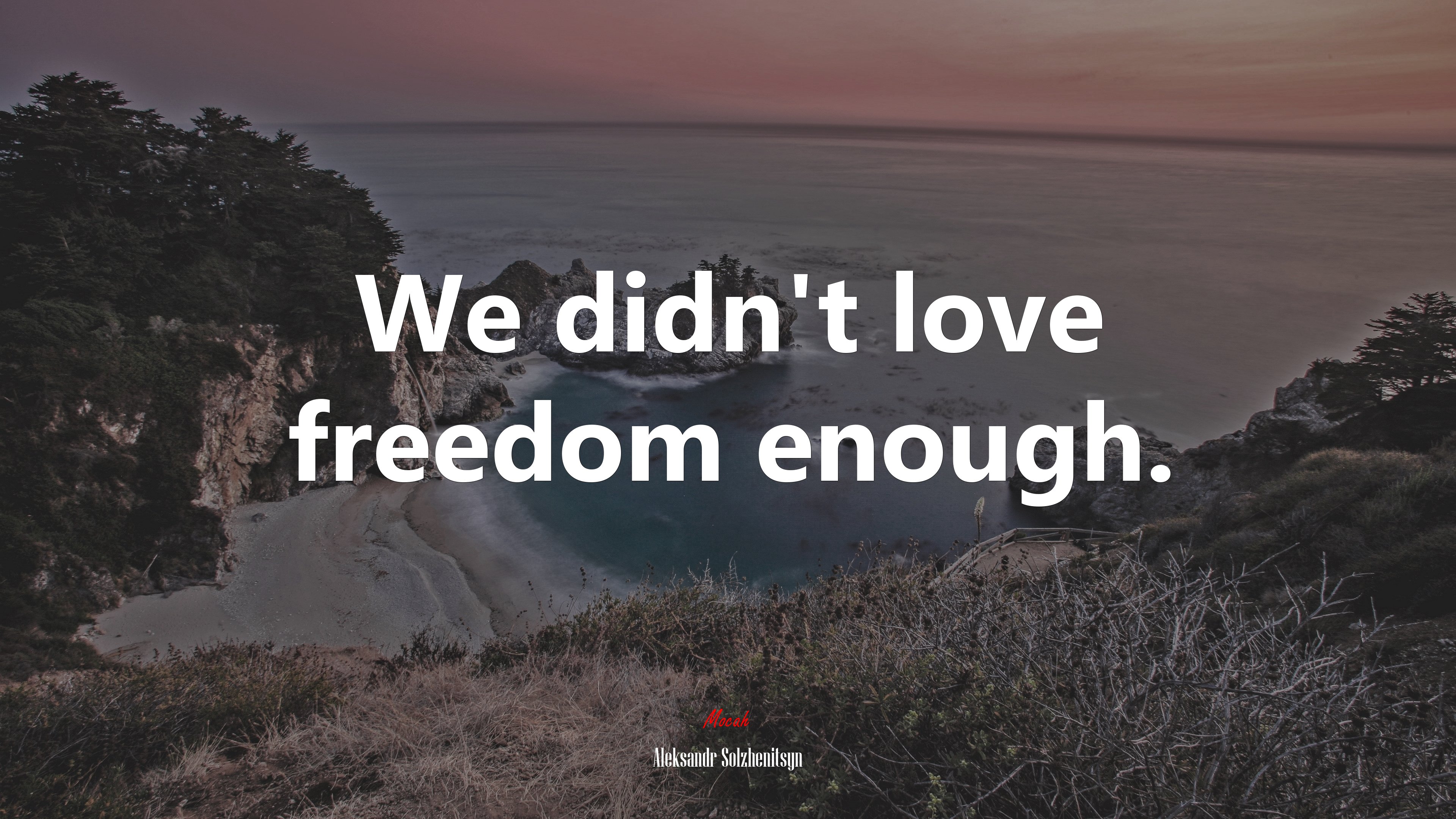 We didn’t love freedom enough. | Aleksandr Solzhenitsyn quote HD Wallpaper