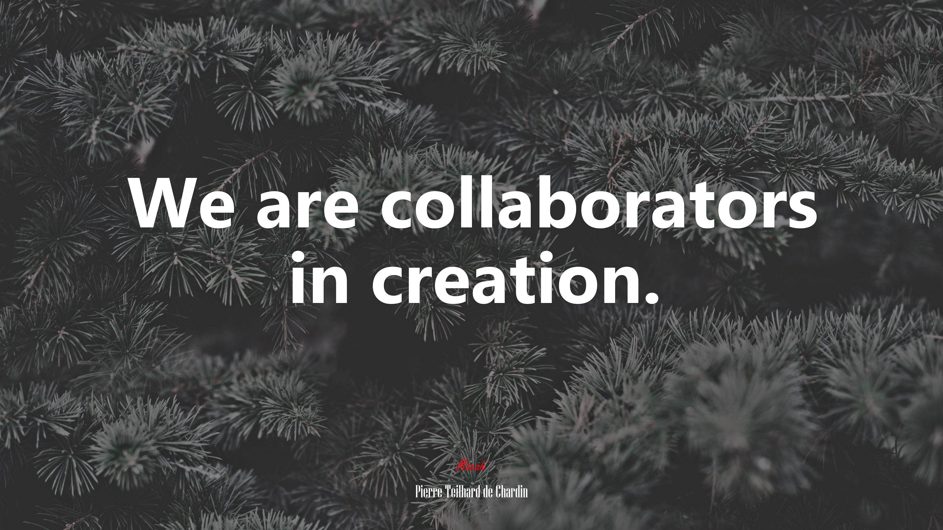 We are collaborators in creation. | Pierre Teilhard de Chardin quote HD Wallpaper
