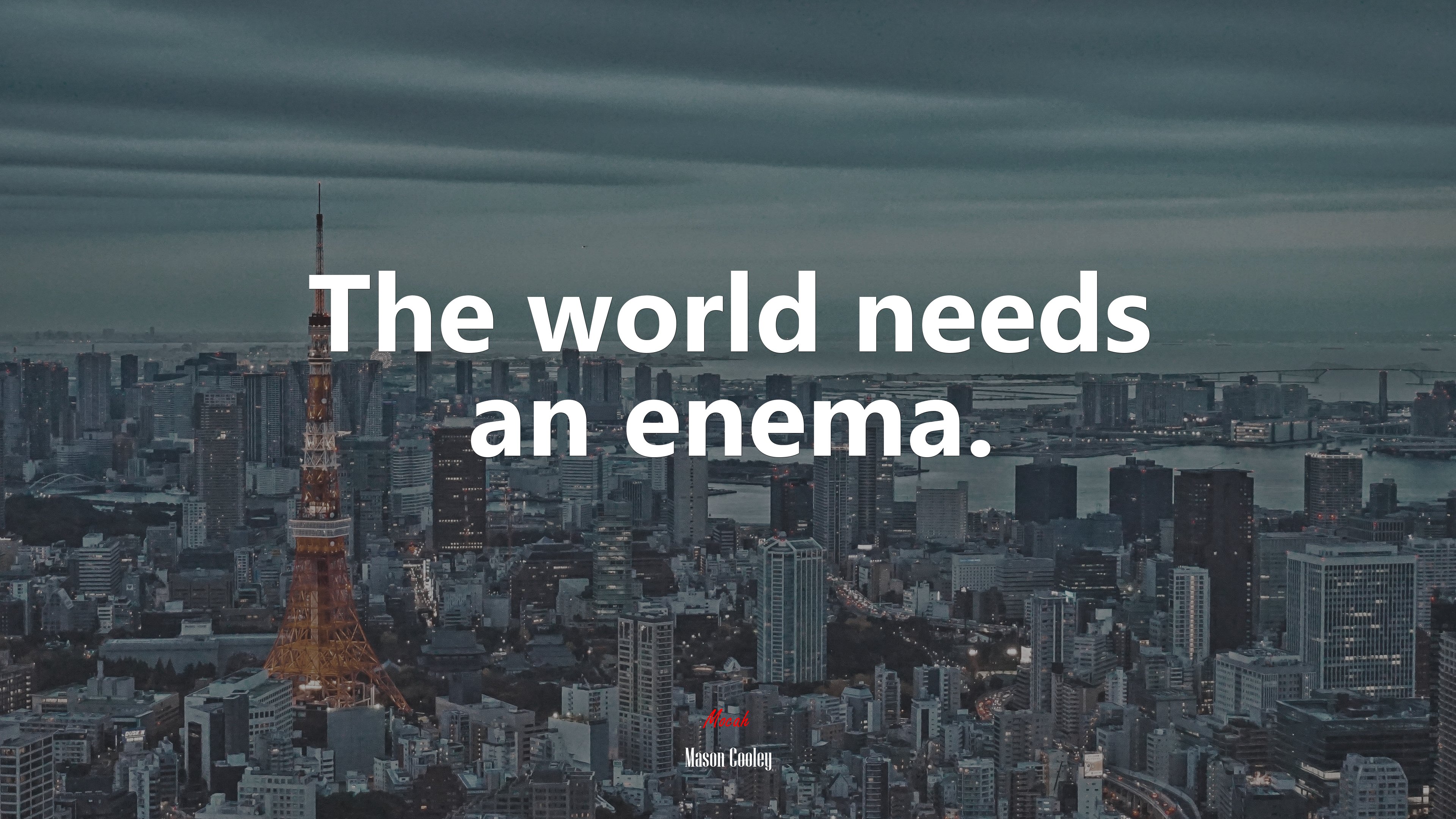 The world needs an enema. | Mason Cooley quote HD Wallpaper