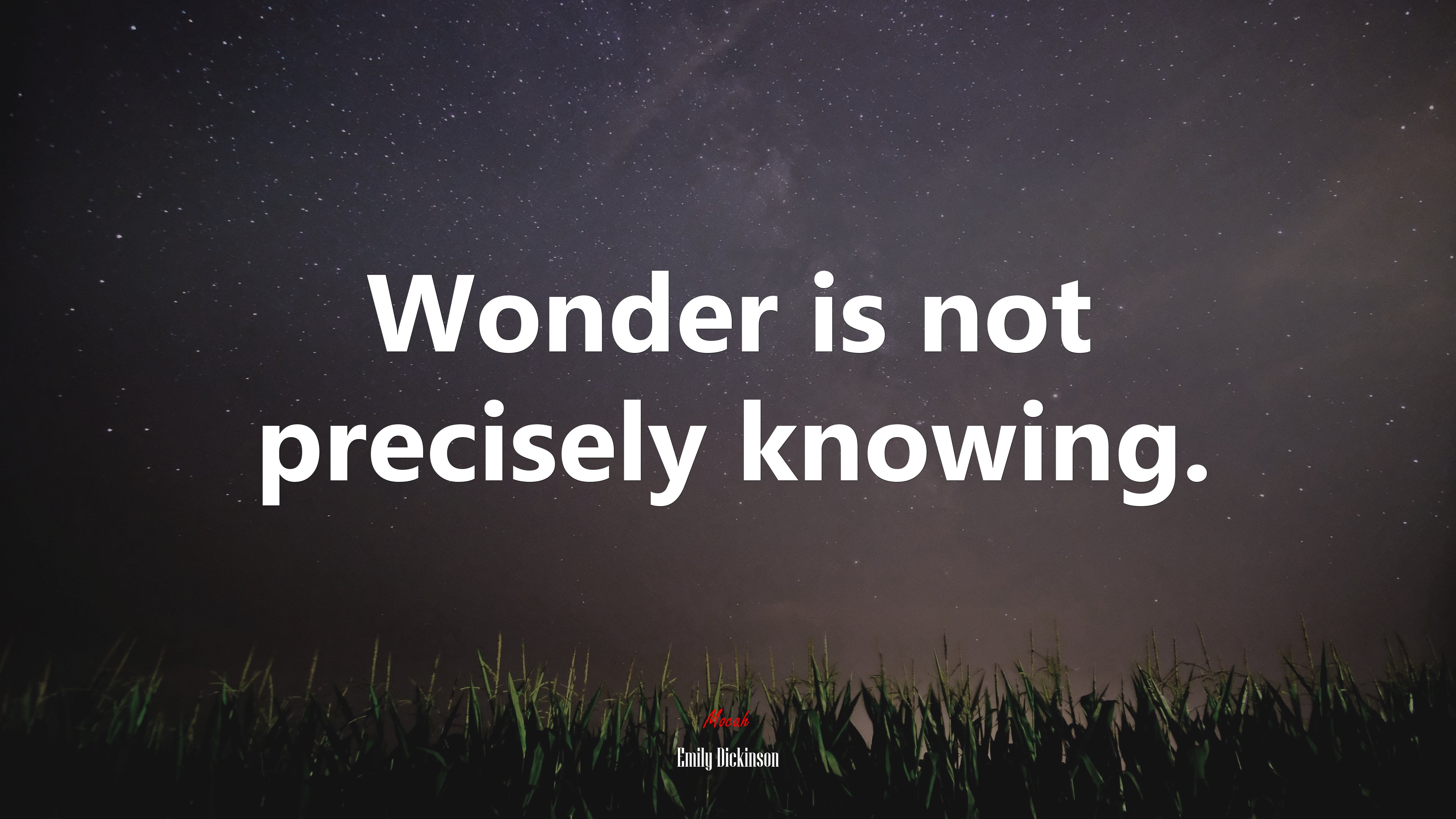 Wonder is not precisely knowing. | Emily Dickinson quote HD Wallpaper