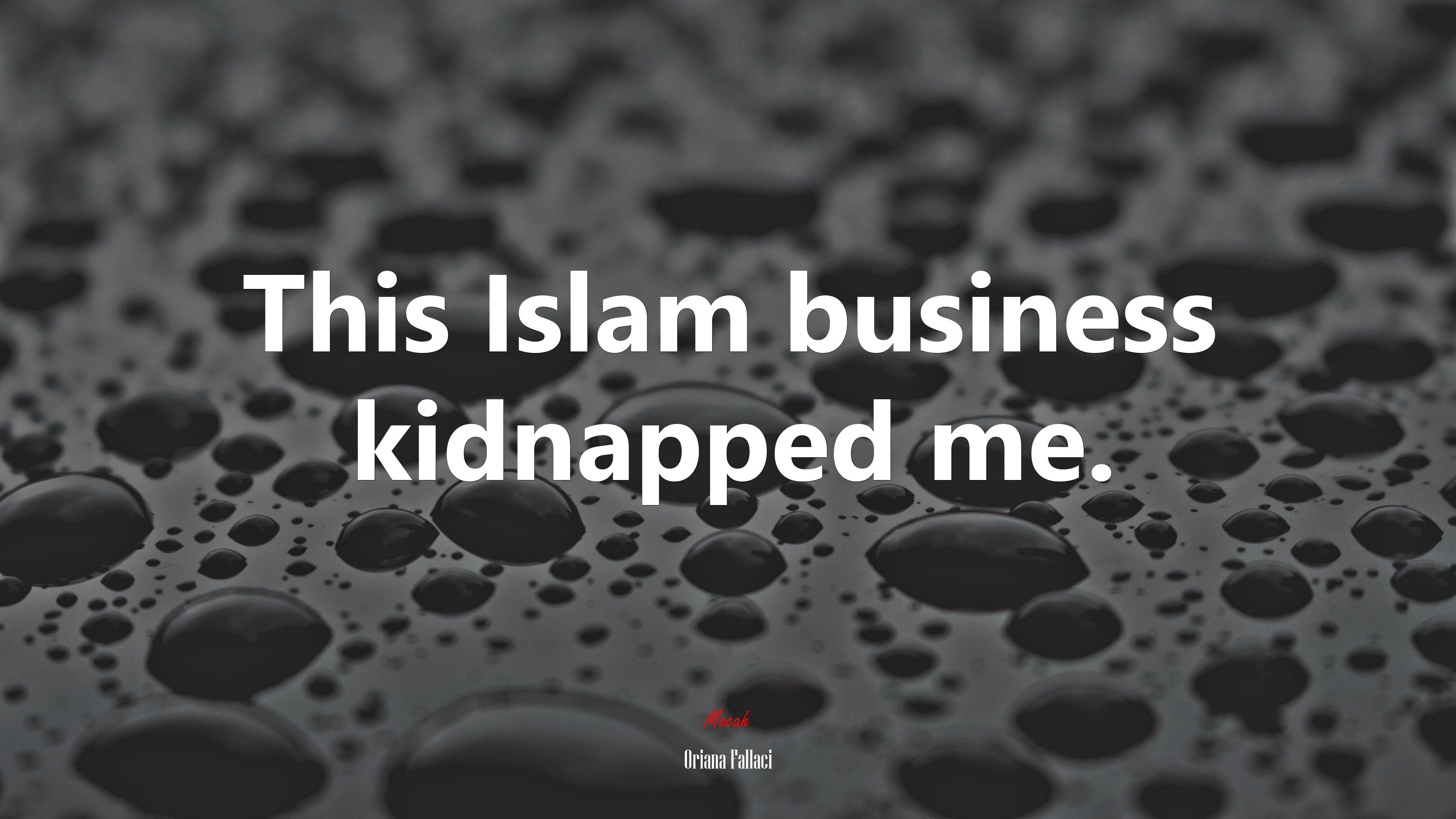 This Islam business kidnapped me. | Oriana Fallaci quote HD Wallpaper