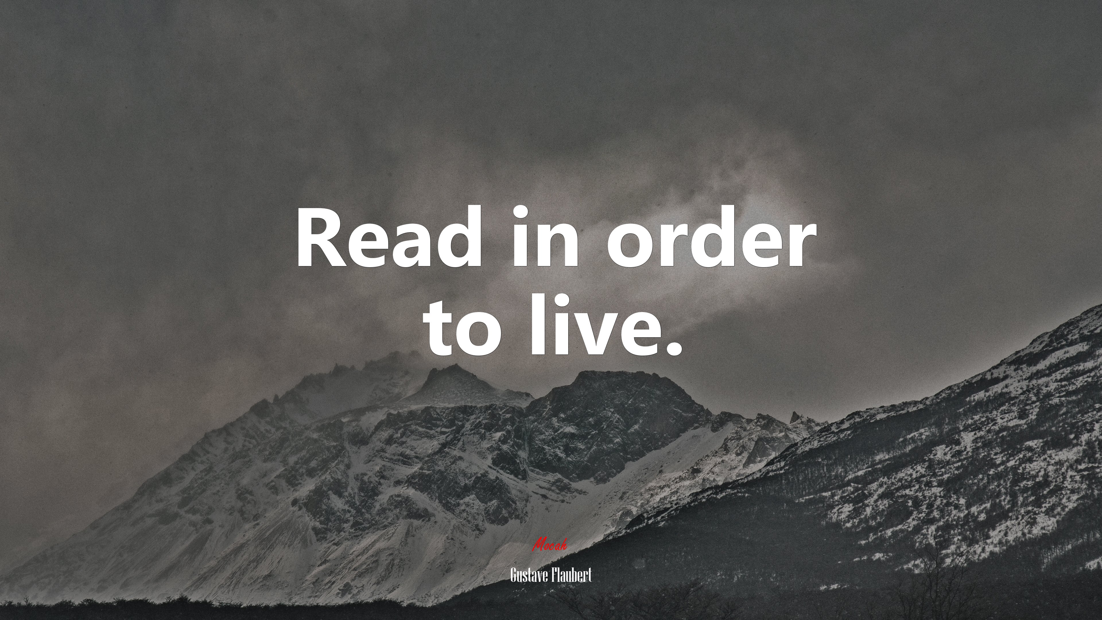 Read in order to live. | Gustave Flaubert quote HD Wallpaper