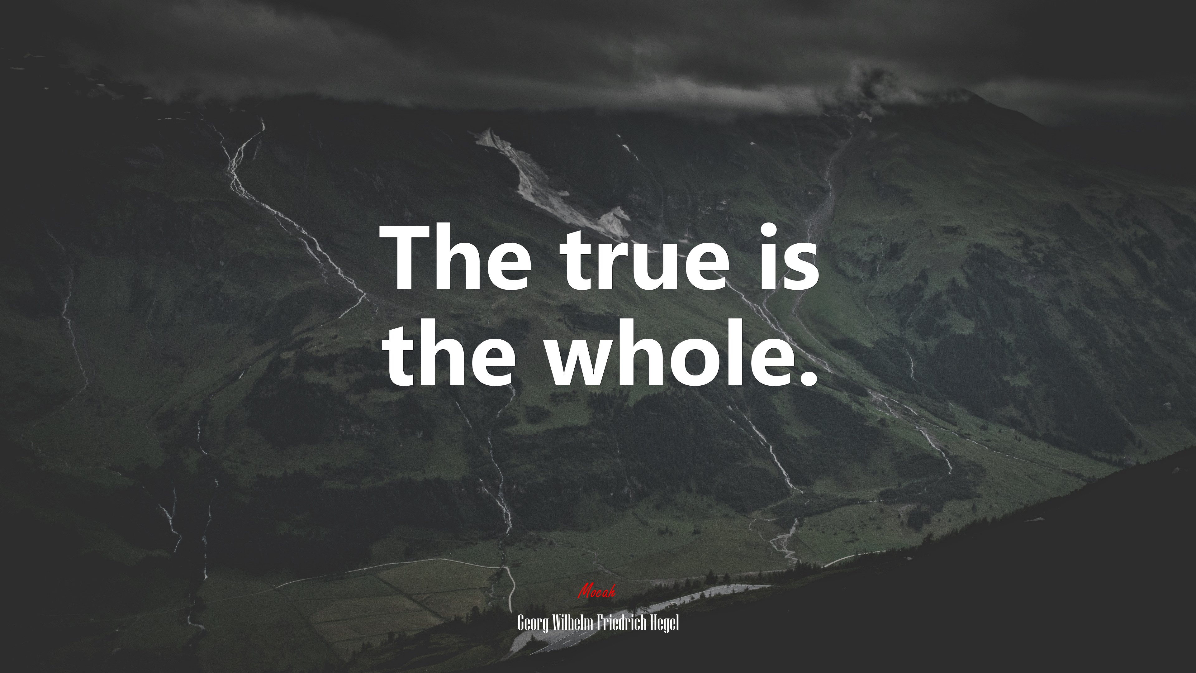The true is the whole. | Georg Wilhelm Friedrich Hegel quote HD Wallpaper