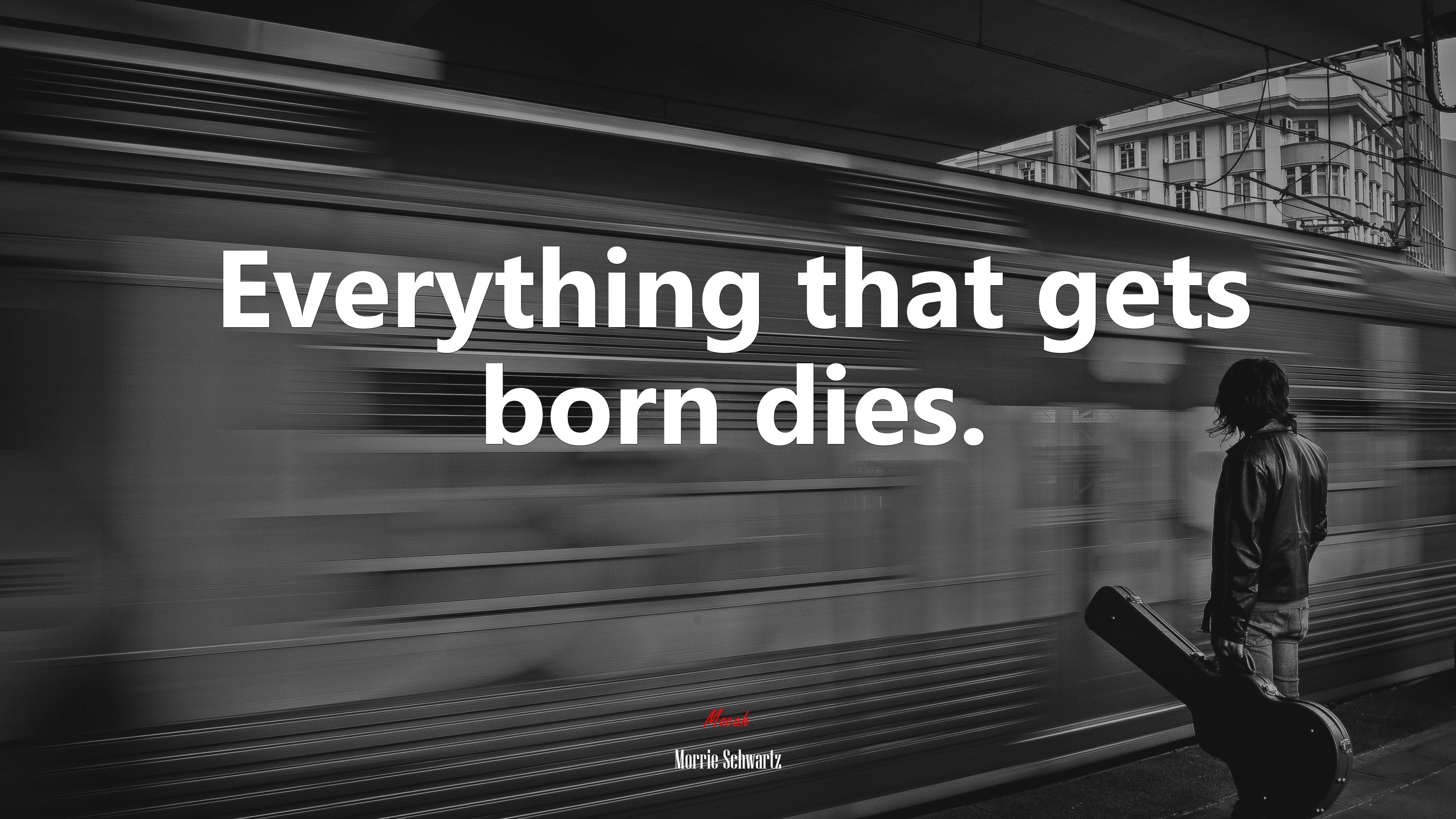 Everything that gets born dies. | Morrie Schwartz quote HD Wallpaper