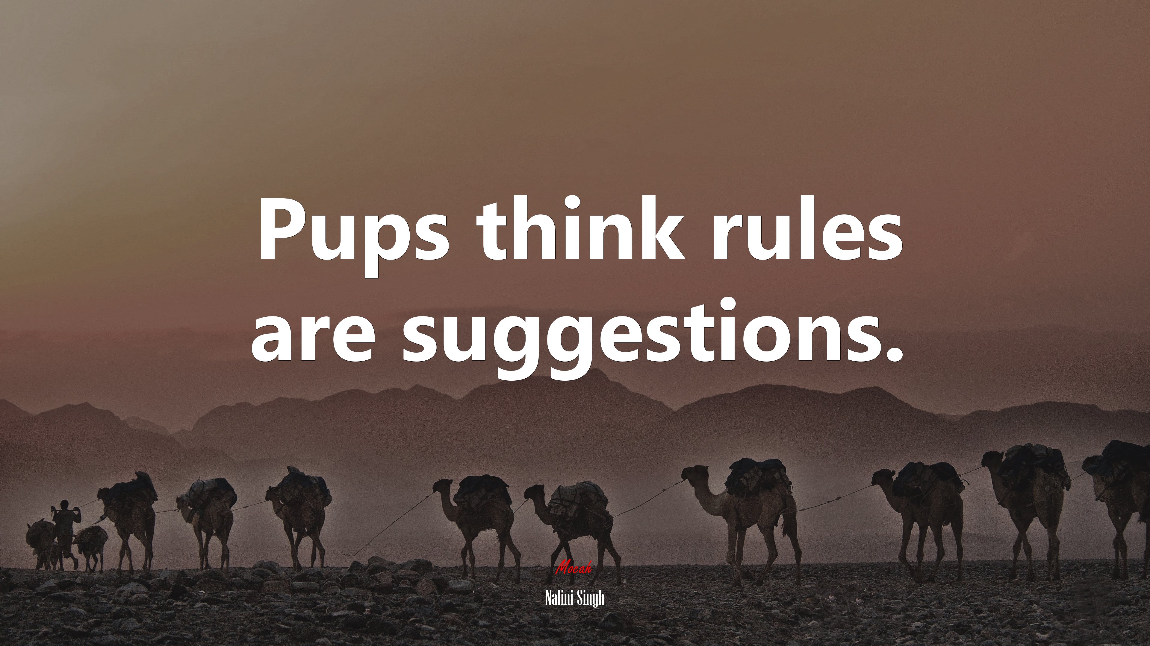 Pups think rules are suggestions. | Nalini Singh quote HD Wallpaper