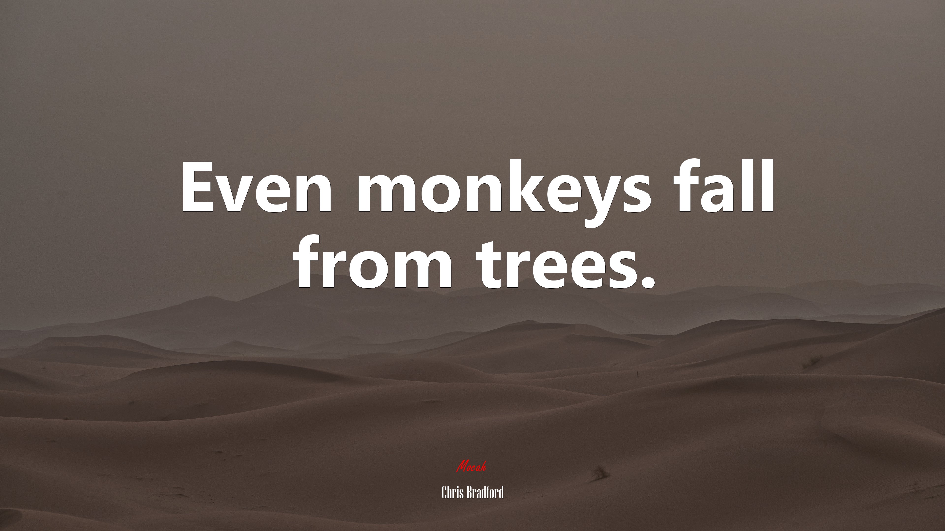 Even monkeys fall from trees. | Chris Bradford quote HD Wallpaper