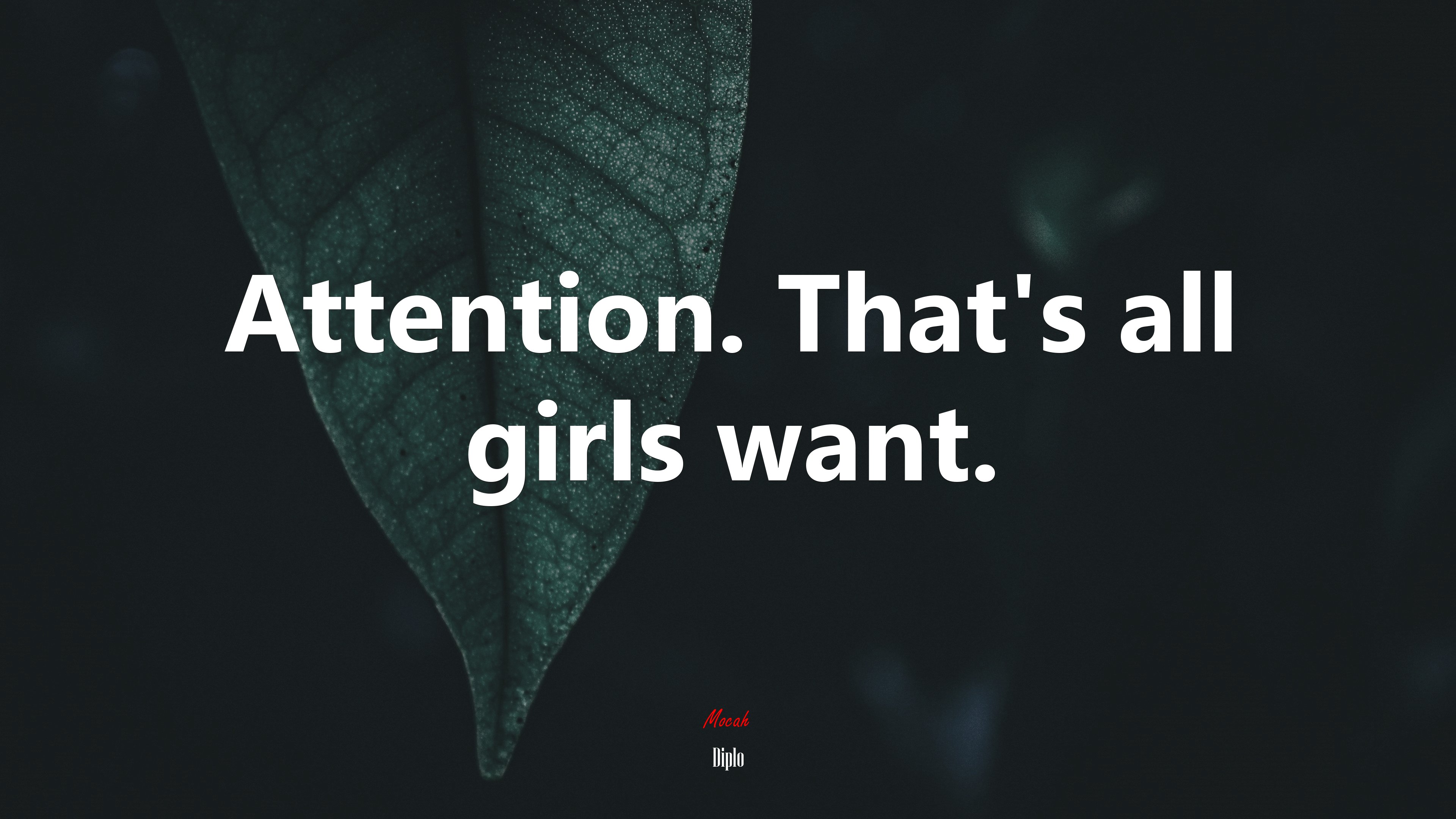 Attention. That’s all girls want. | Diplo quote HD Wallpaper