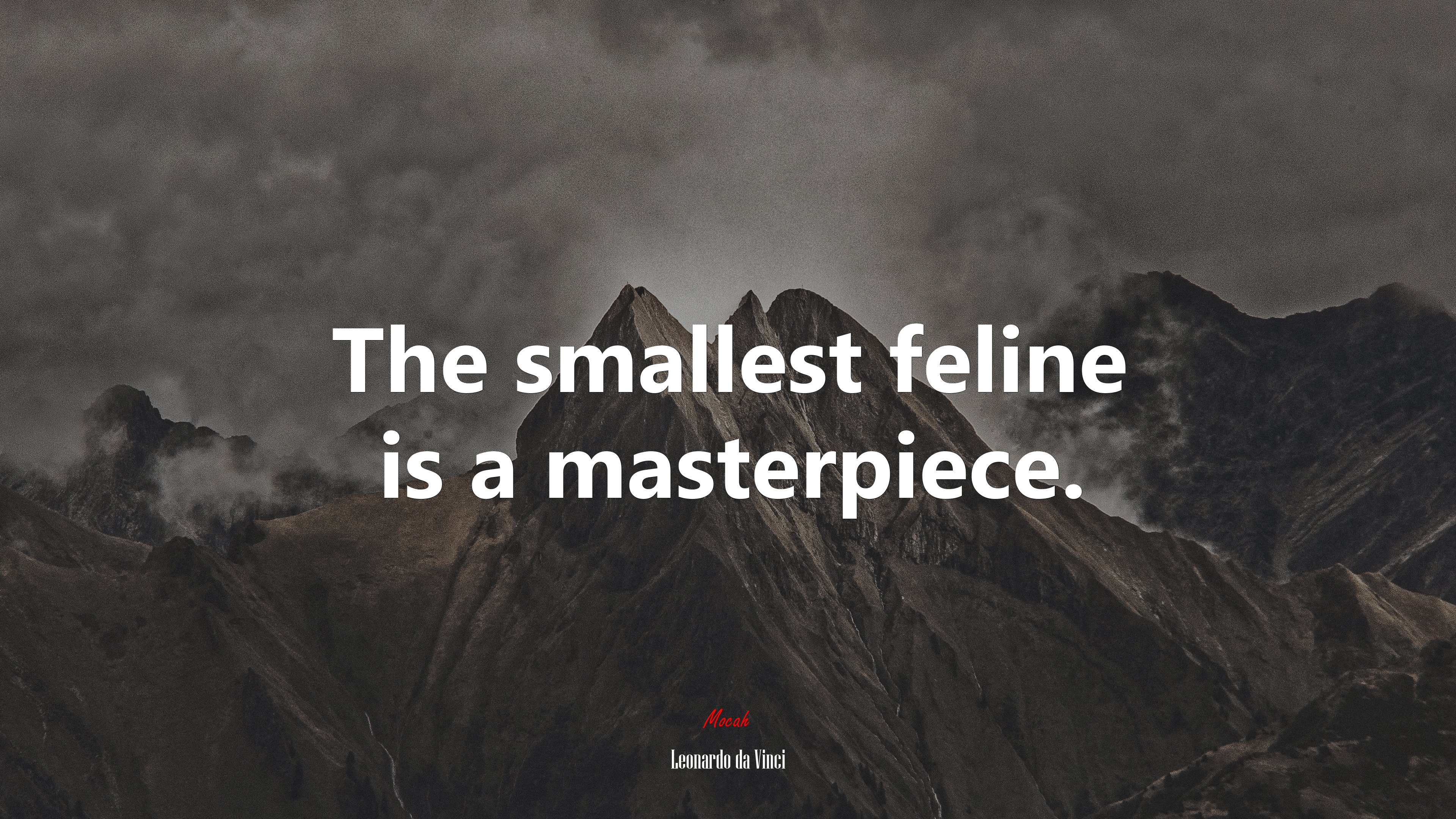 The smallest feline is a masterpiece. | Leonardo da Vinci quote HD Wallpaper
