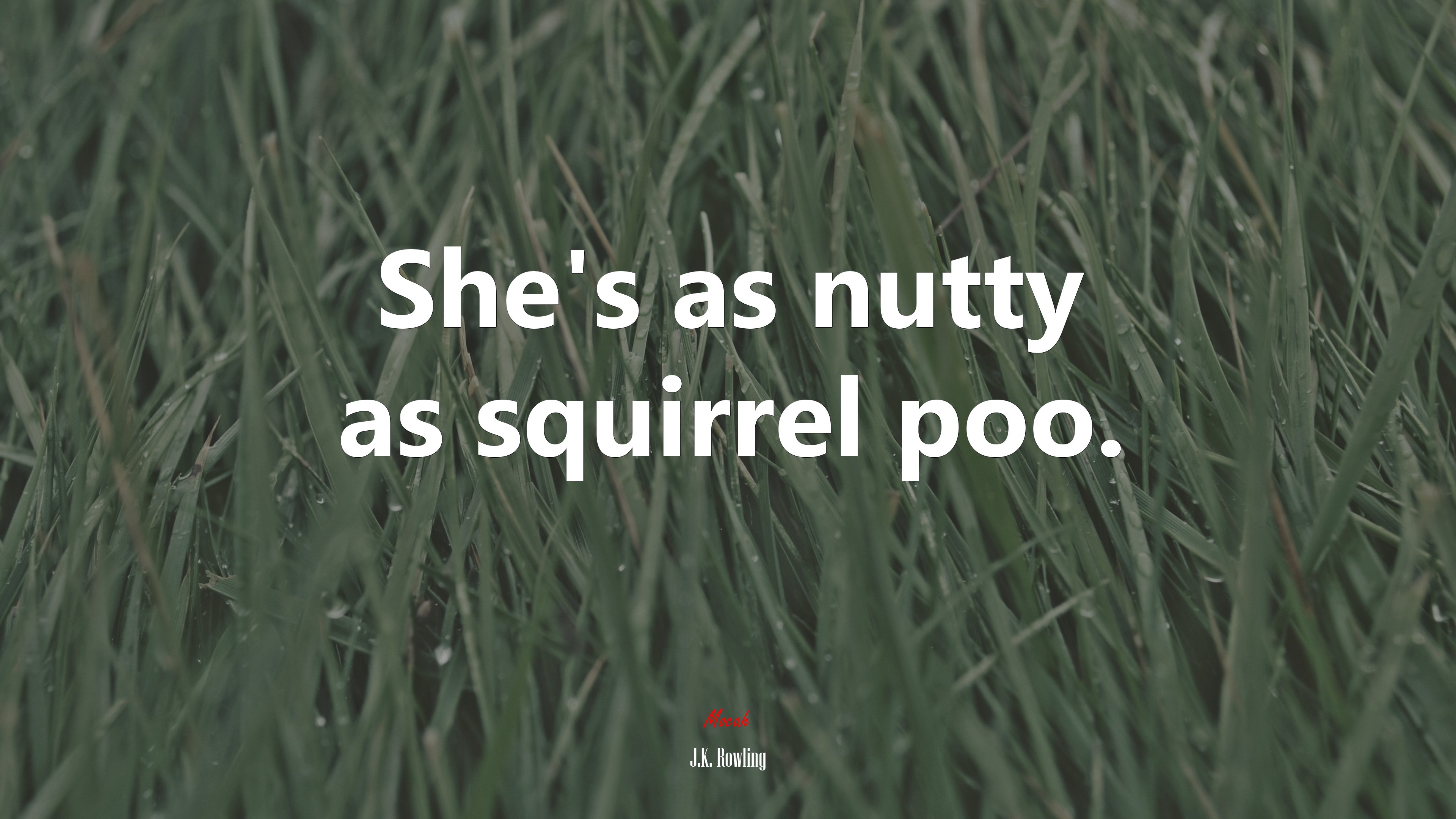She’s as nutty as squirrel poo. | J.K. Rowling quote HD Wallpaper