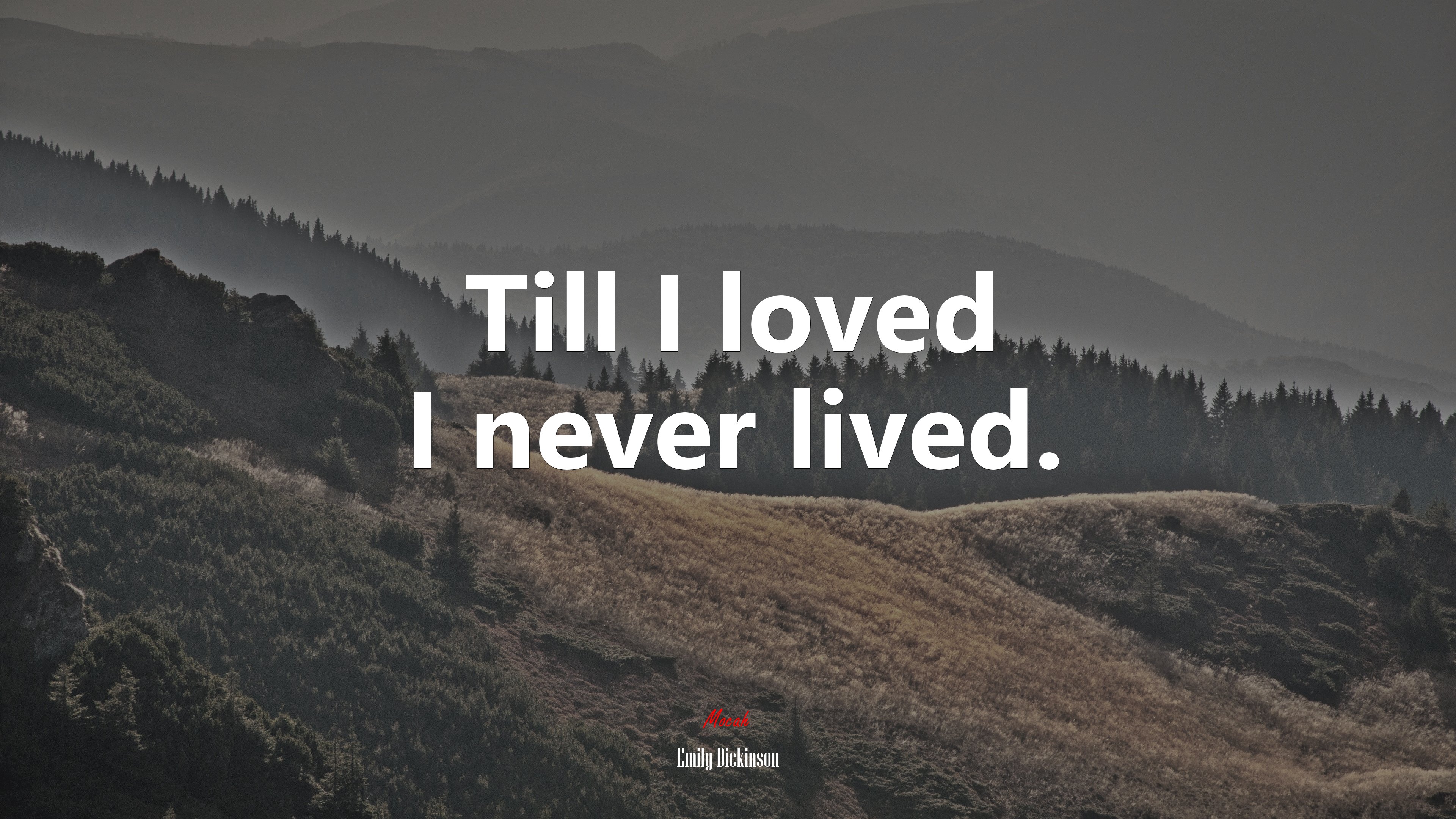 Till I loved I never lived. | Emily Dickinson quote HD Wallpaper