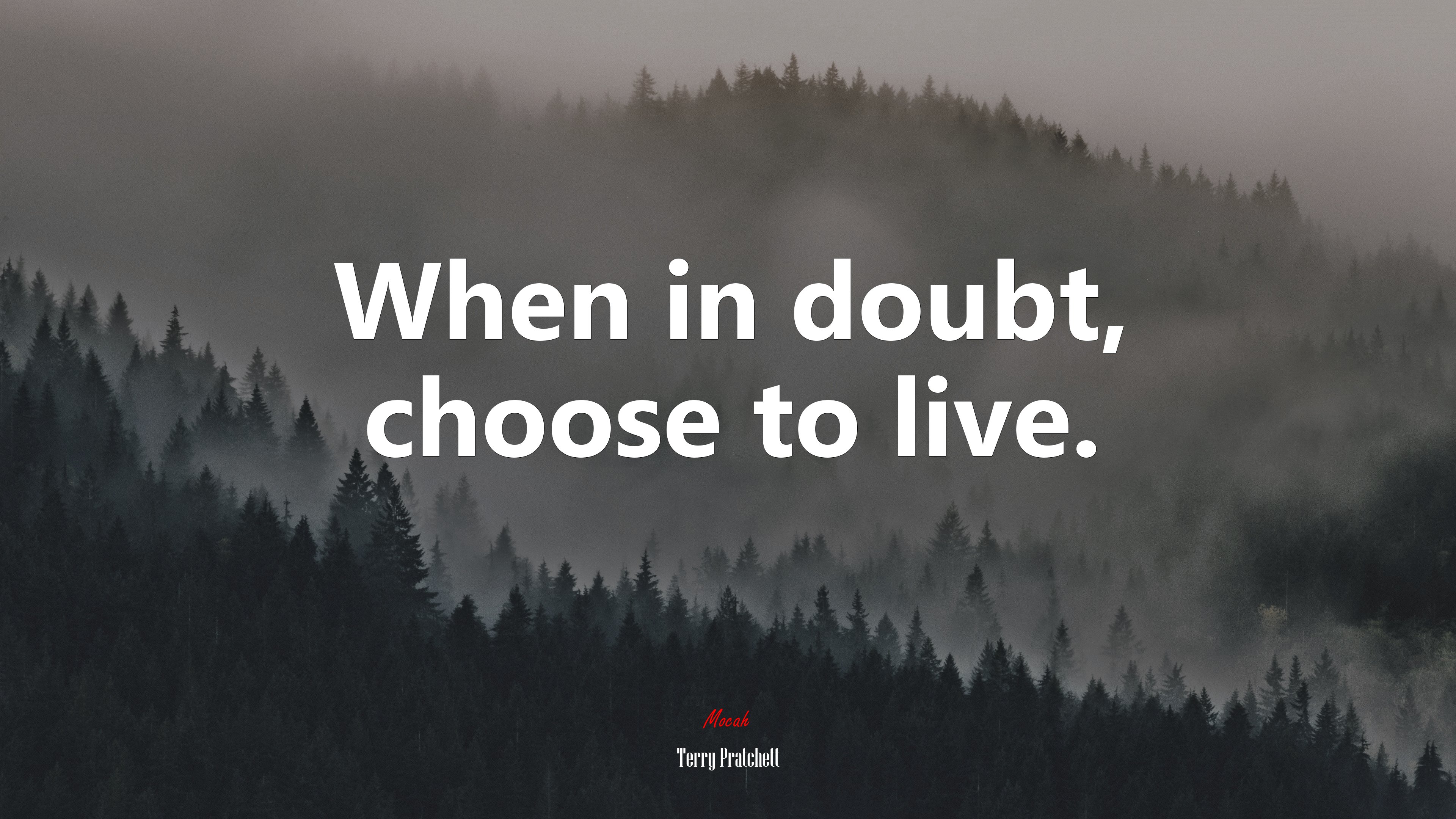 When in doubt, choose to live. | Terry Pratchett quote HD Wallpaper