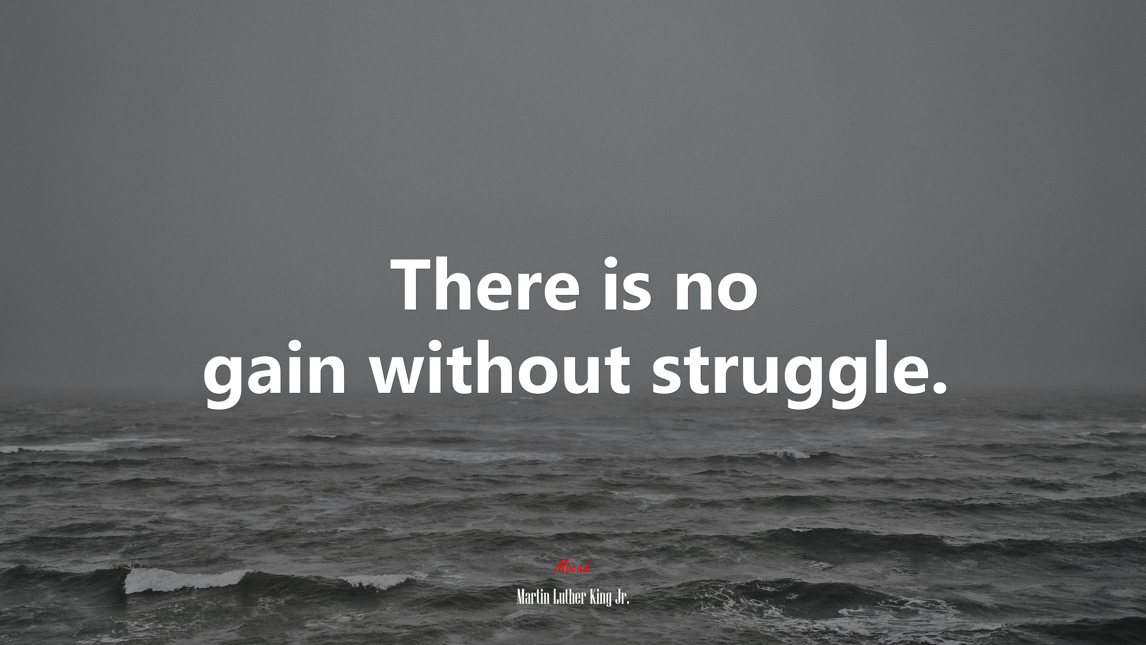 There is no gain without struggle. | Martin Luther King Jr. quote HD Wallpaper