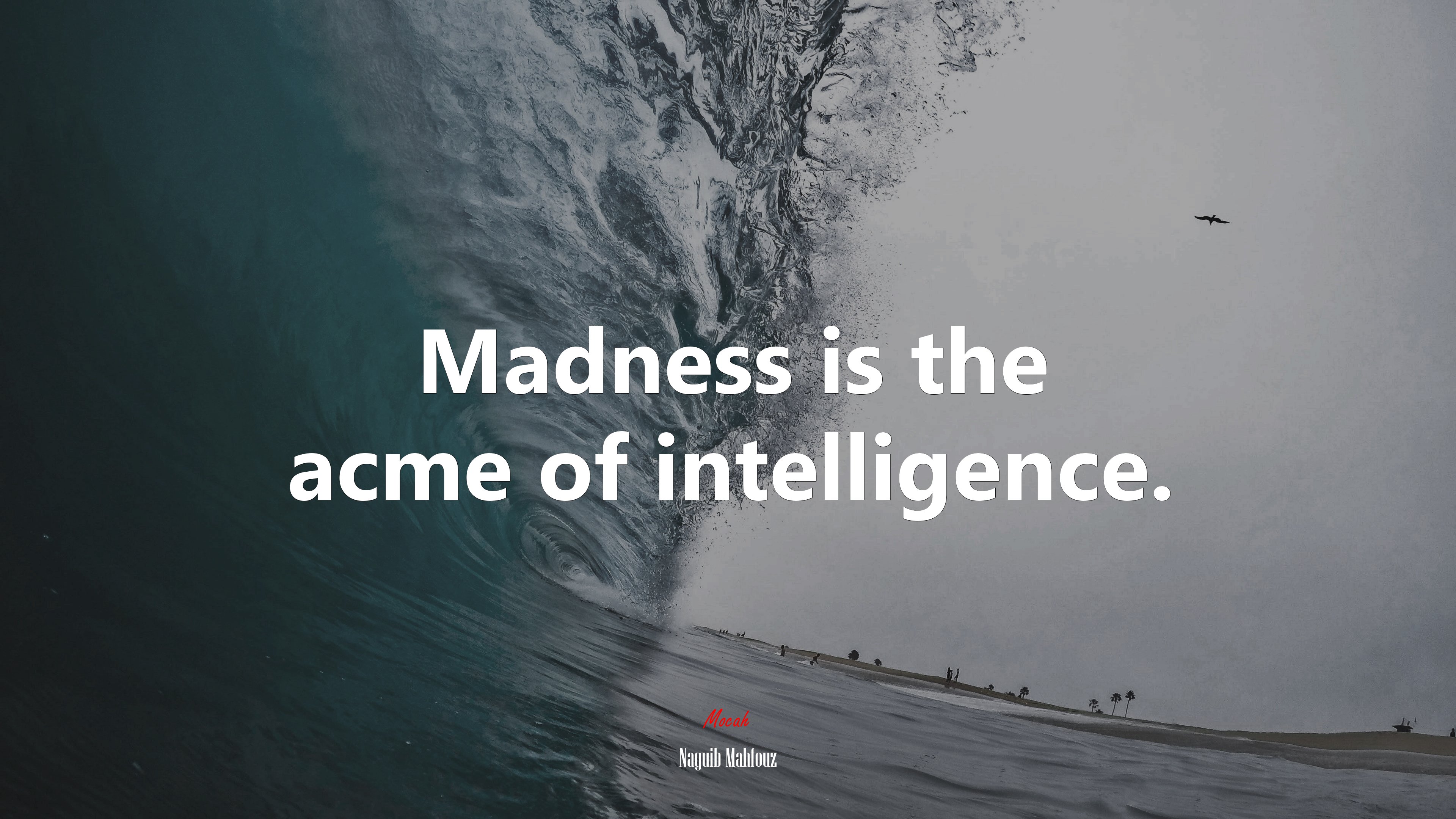 Madness is the acme of intelligence. | Naguib Mahfouz quote HD Wallpaper