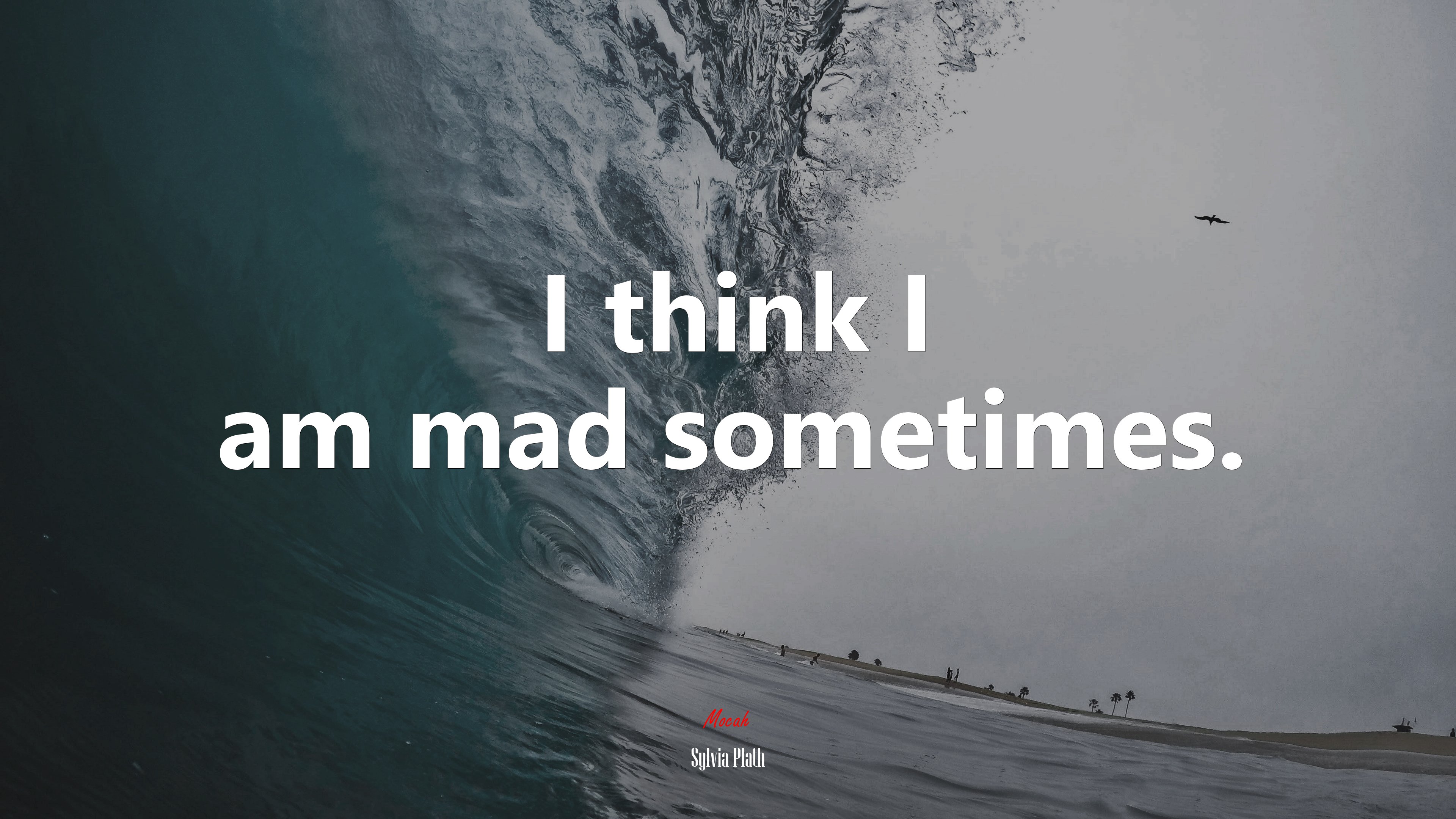 I think I am mad sometimes. | Sylvia Plath quote HD Wallpaper
