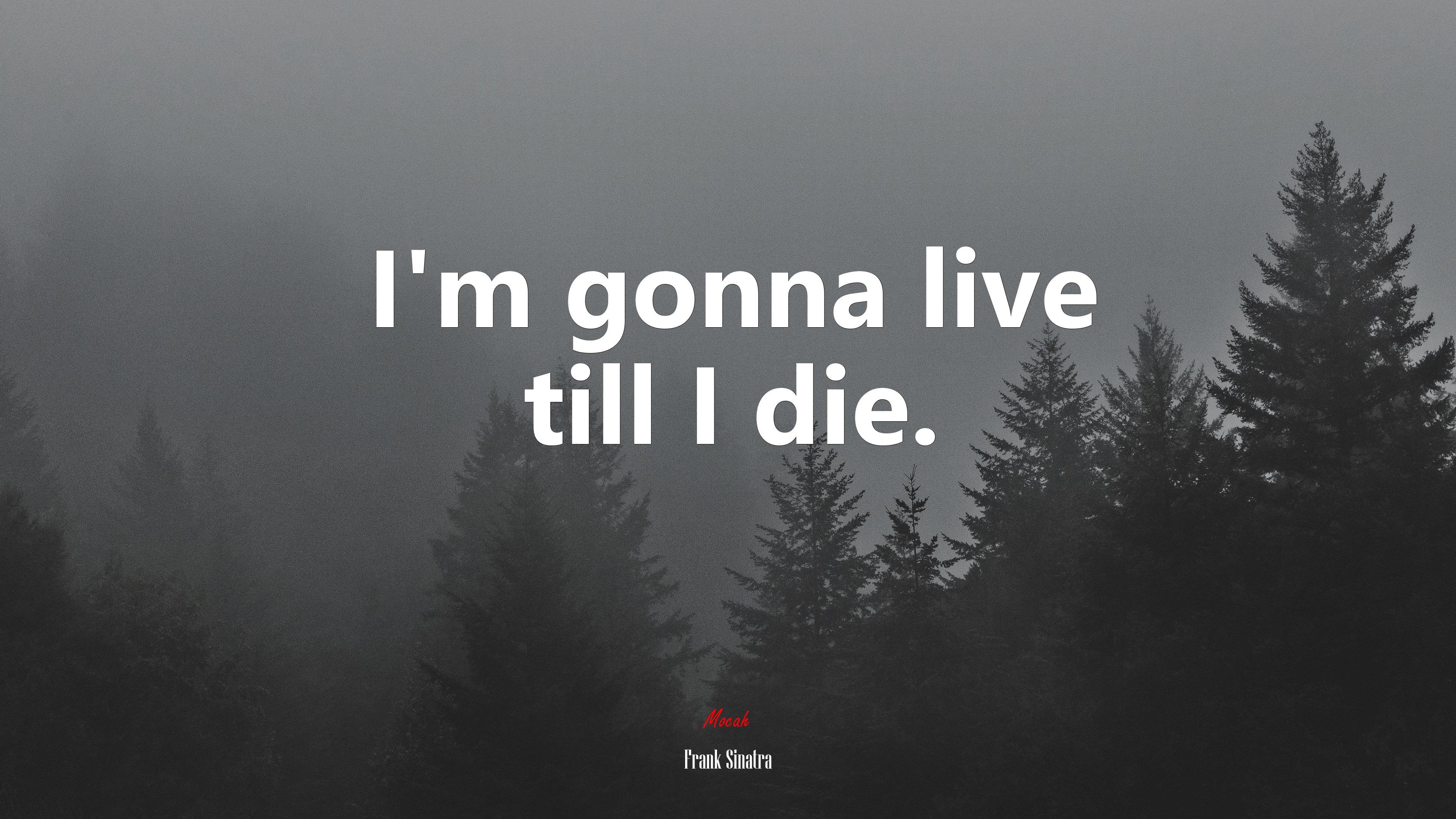 I’m gonna live till I die. | Frank Sinatra quote HD Wallpaper