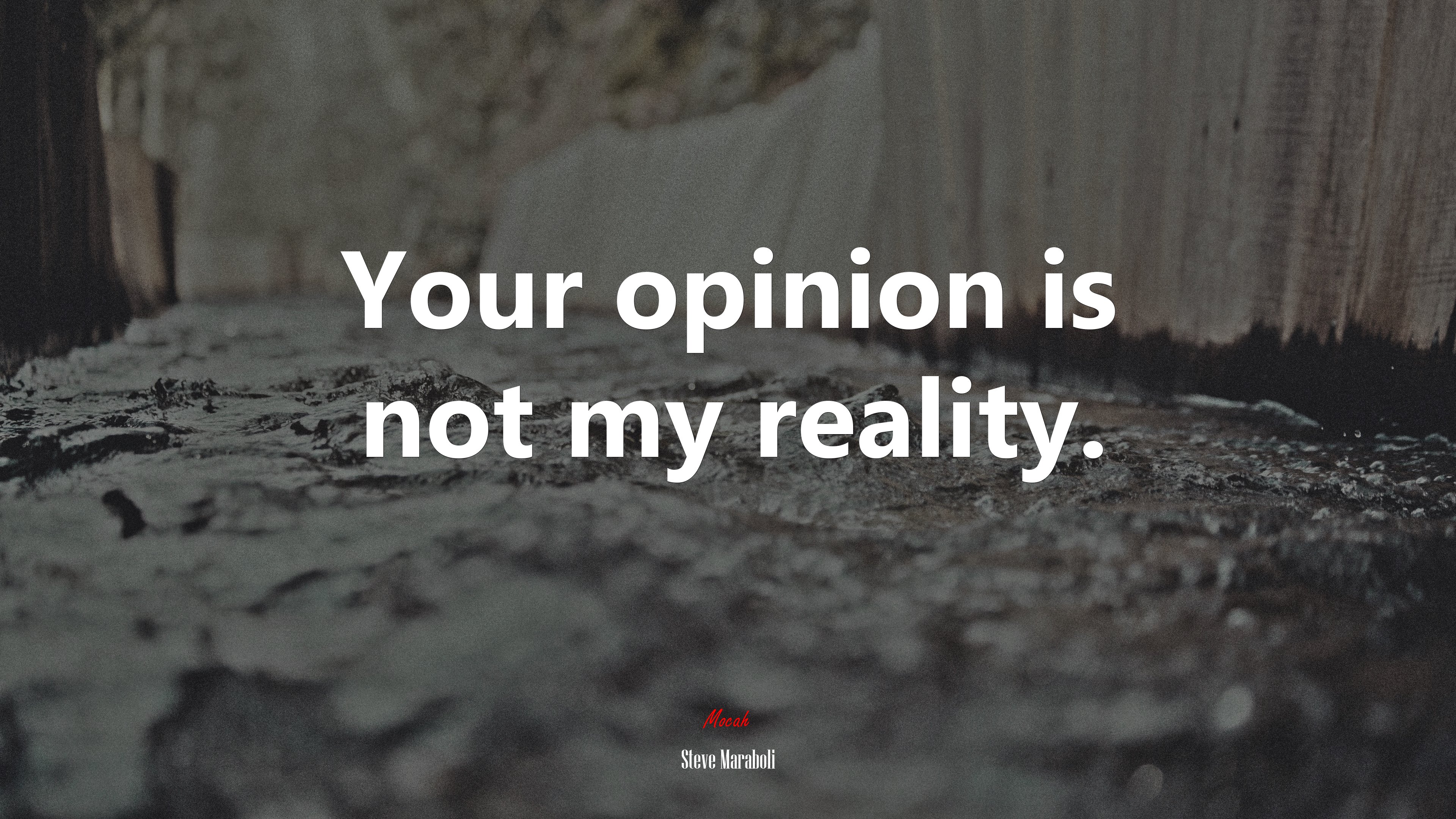 Your opinion is not my reality. | Steve Maraboli quote HD Wallpaper