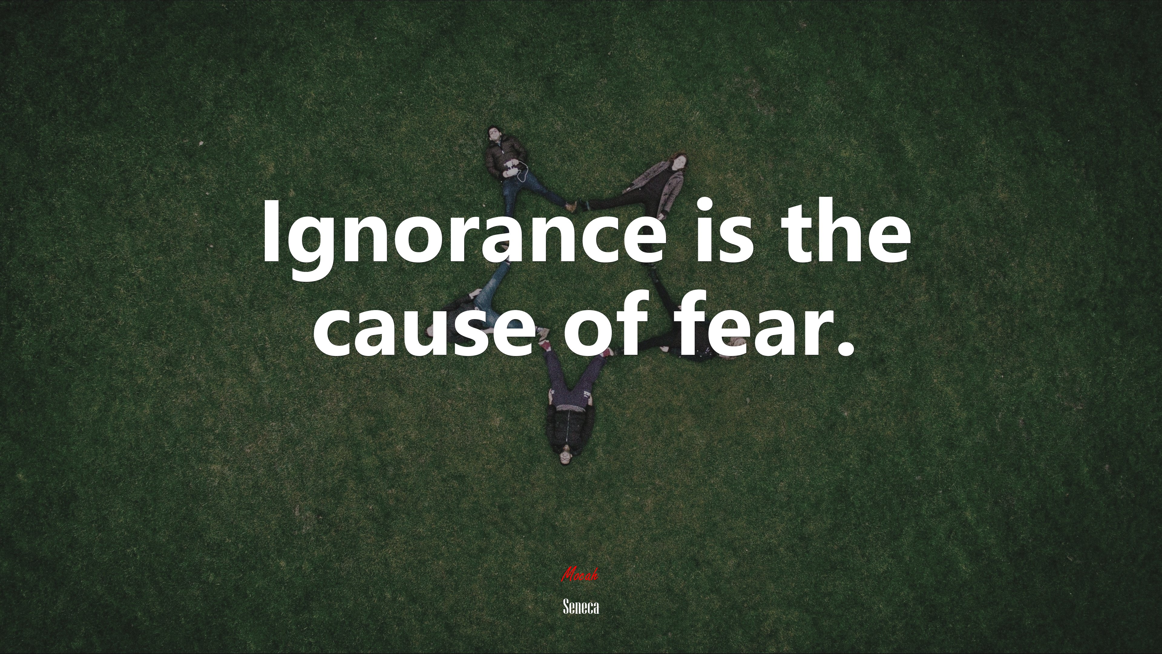 Ignorance is the cause of fear. | Seneca quote HD Wallpaper