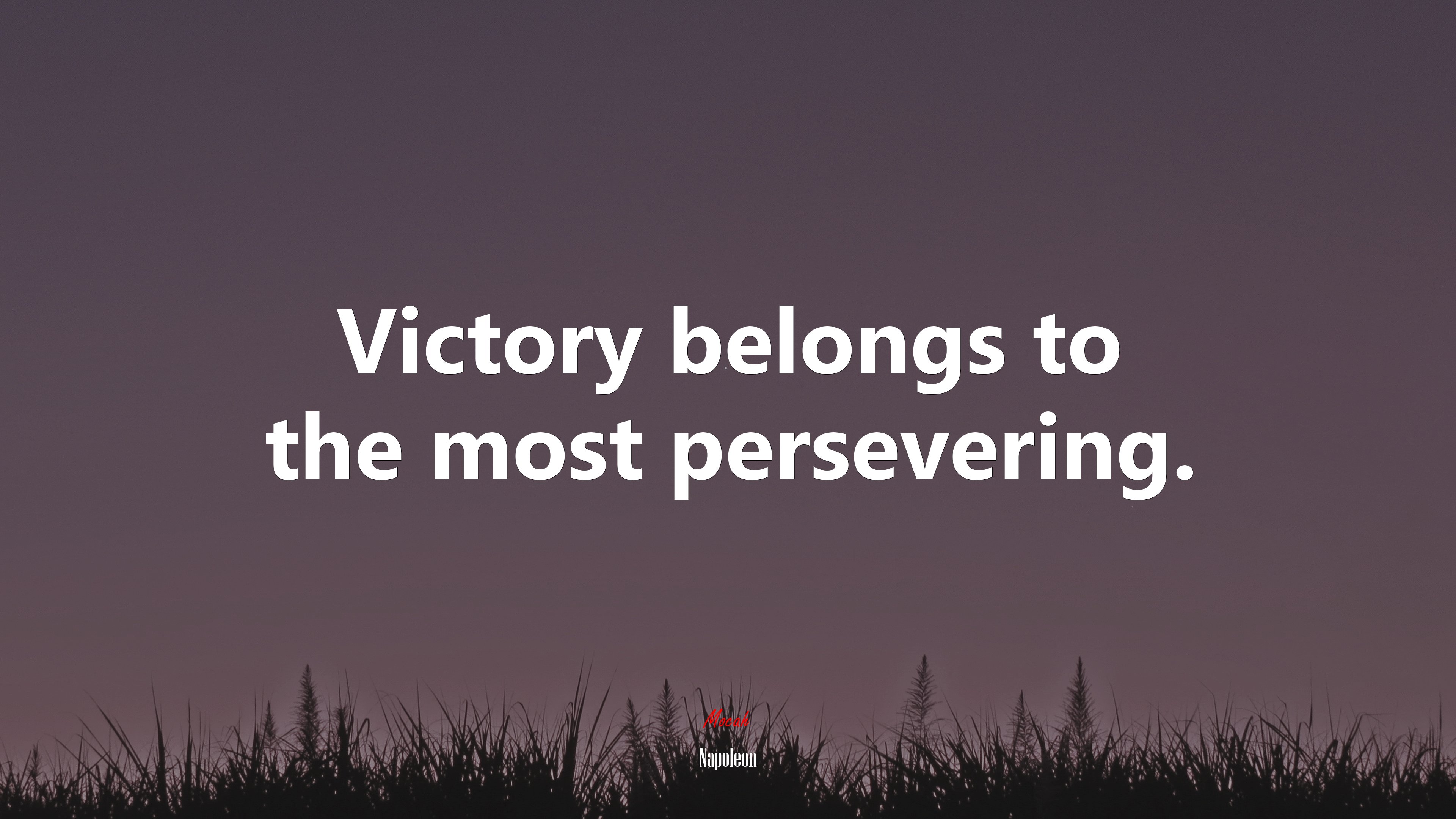 Victory belongs to the most persevering. | Napoleon quote HD Wallpaper