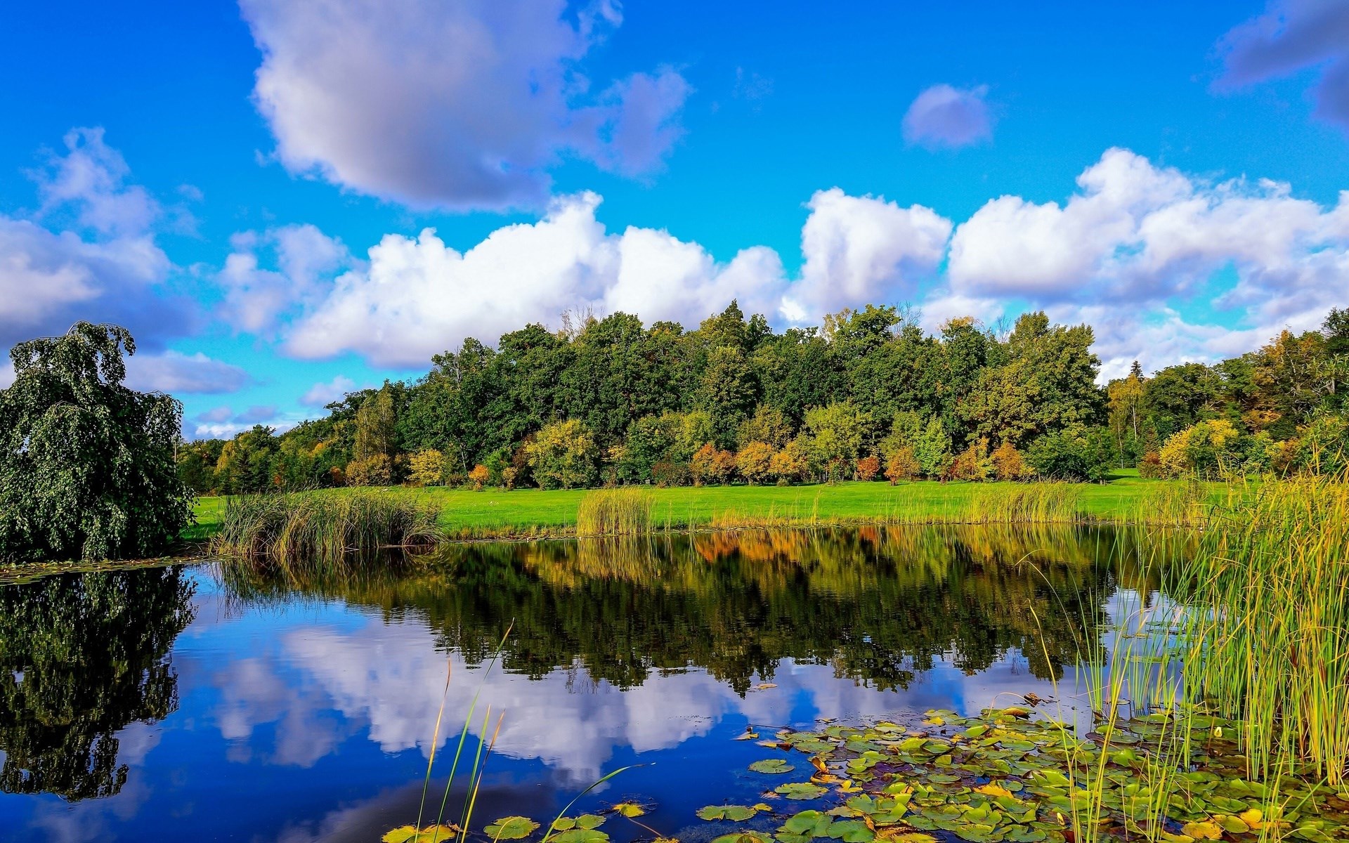 A tranquil lake reflects trees and a blue sky with clouds HD Wallpaper