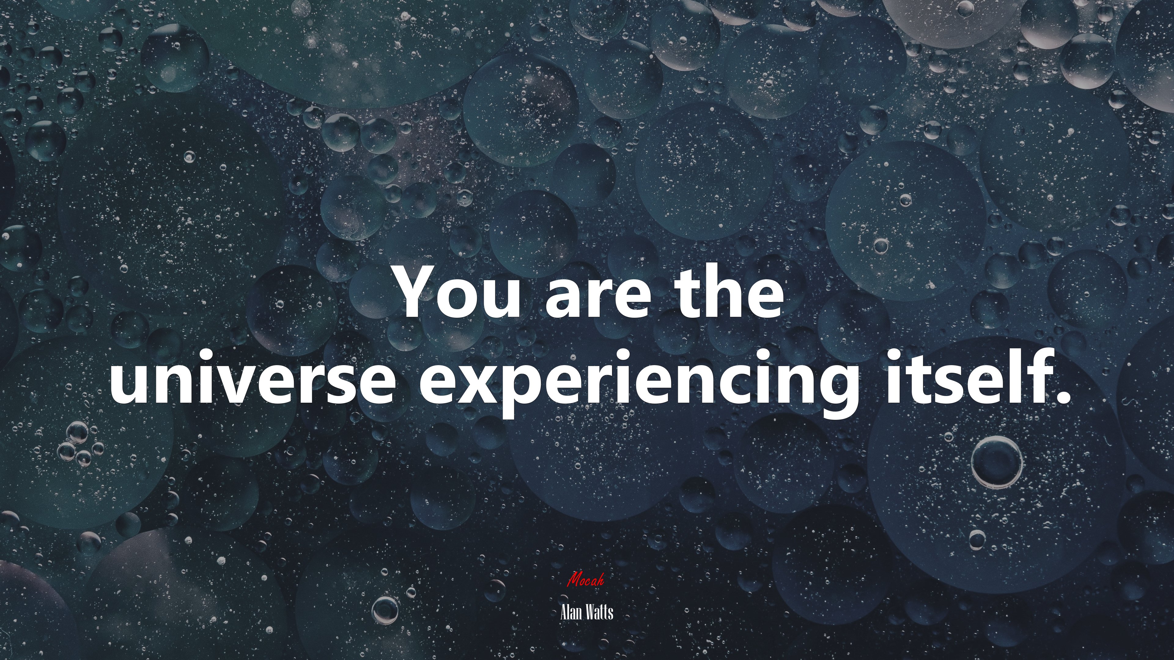 You are the universe experiencing itself. | Alan Watts quote HD Wallpaper