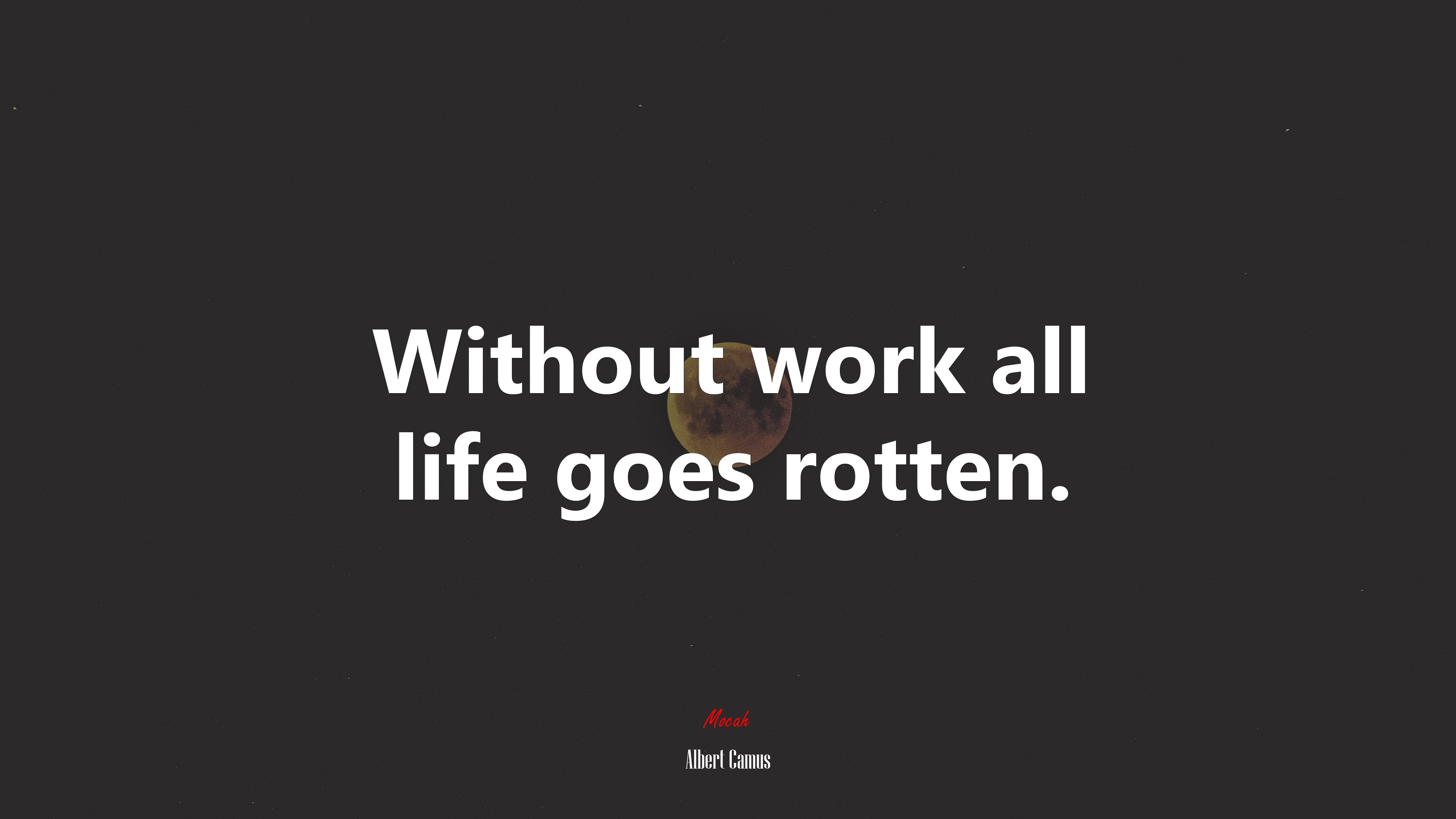 Without work all life goes rotten. | Albert Camus quote HD Wallpaper