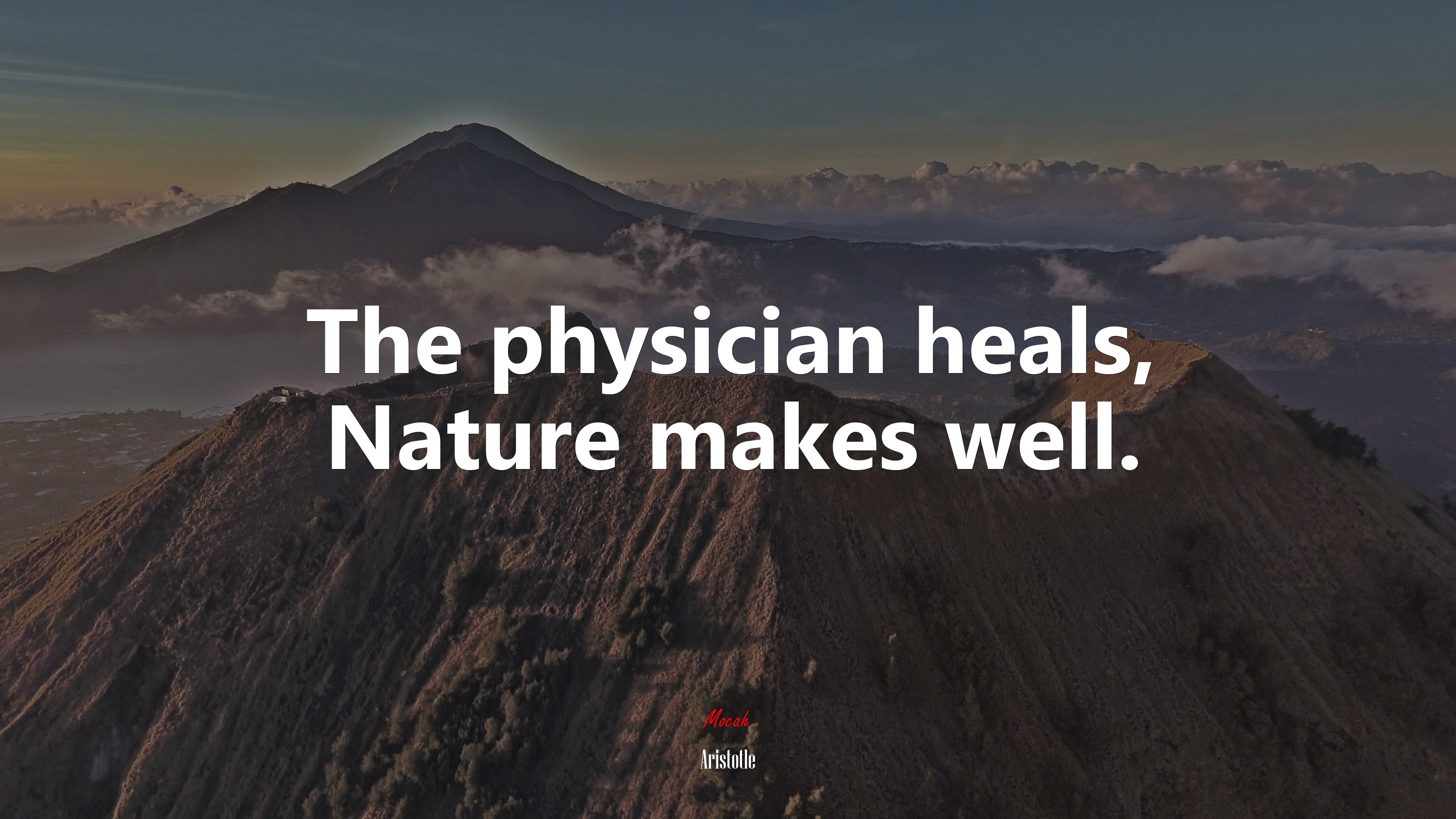 The physician heals, Nature makes well. | Aristotle quote HD Wallpaper