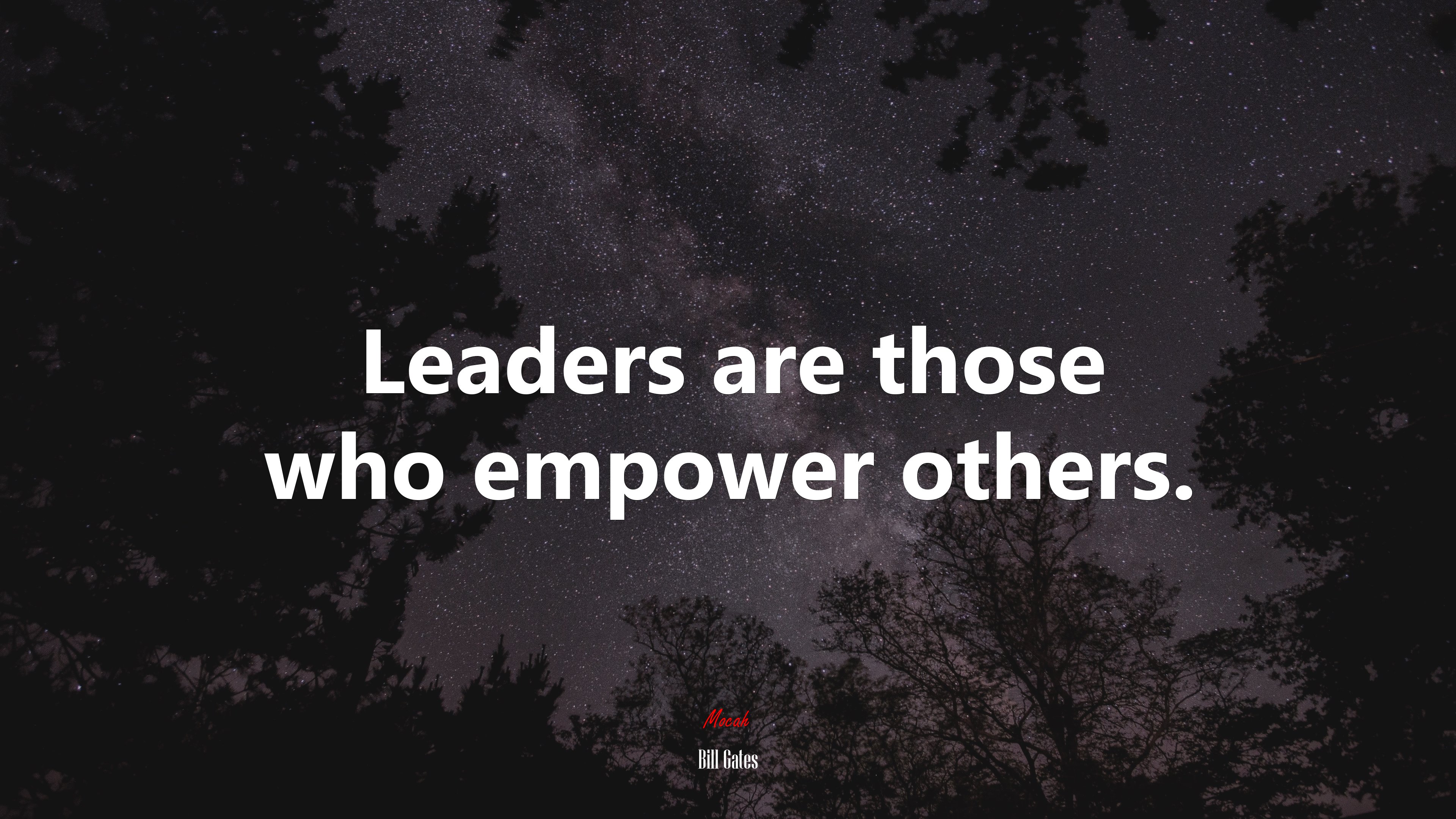Leaders are those who empower others. | Bill Gates quote HD Wallpaper