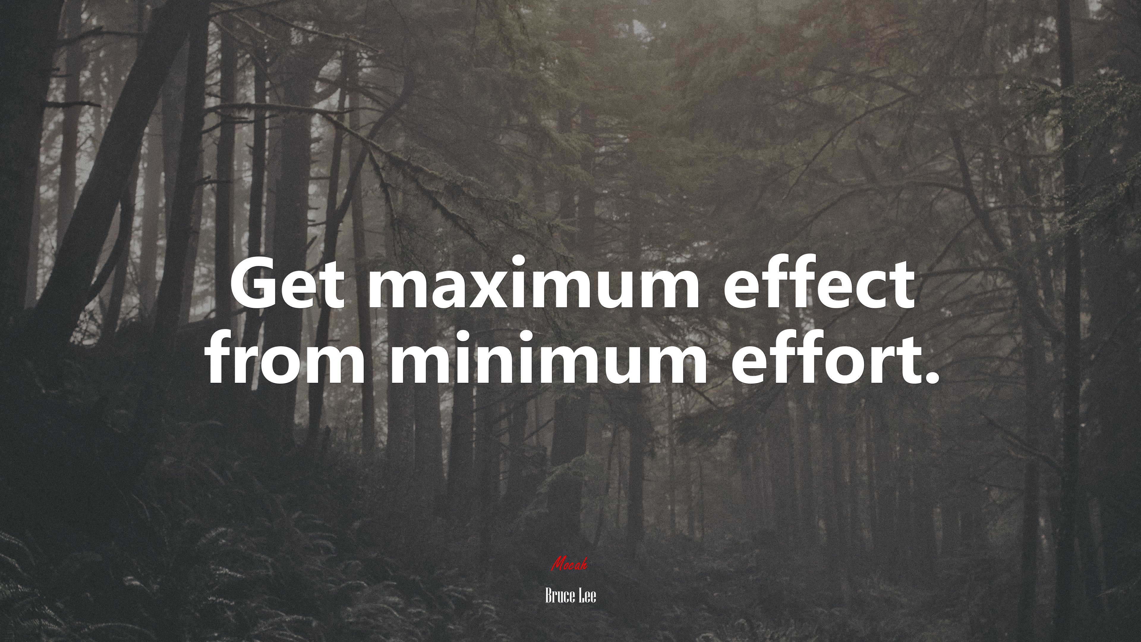 Get maximum effect from minimum effort. | Bruce Lee quote HD Wallpaper